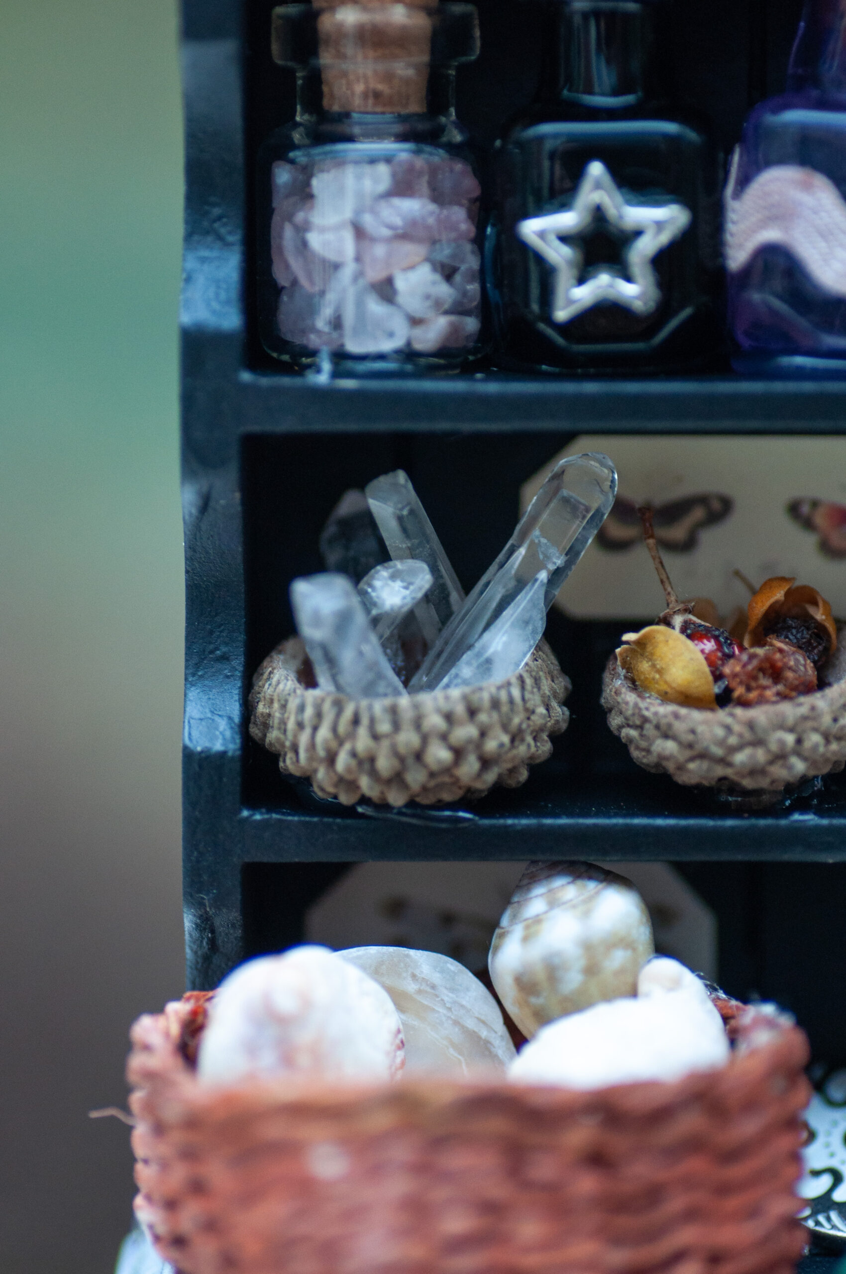 Botanical curiosity cabinet - Image 5