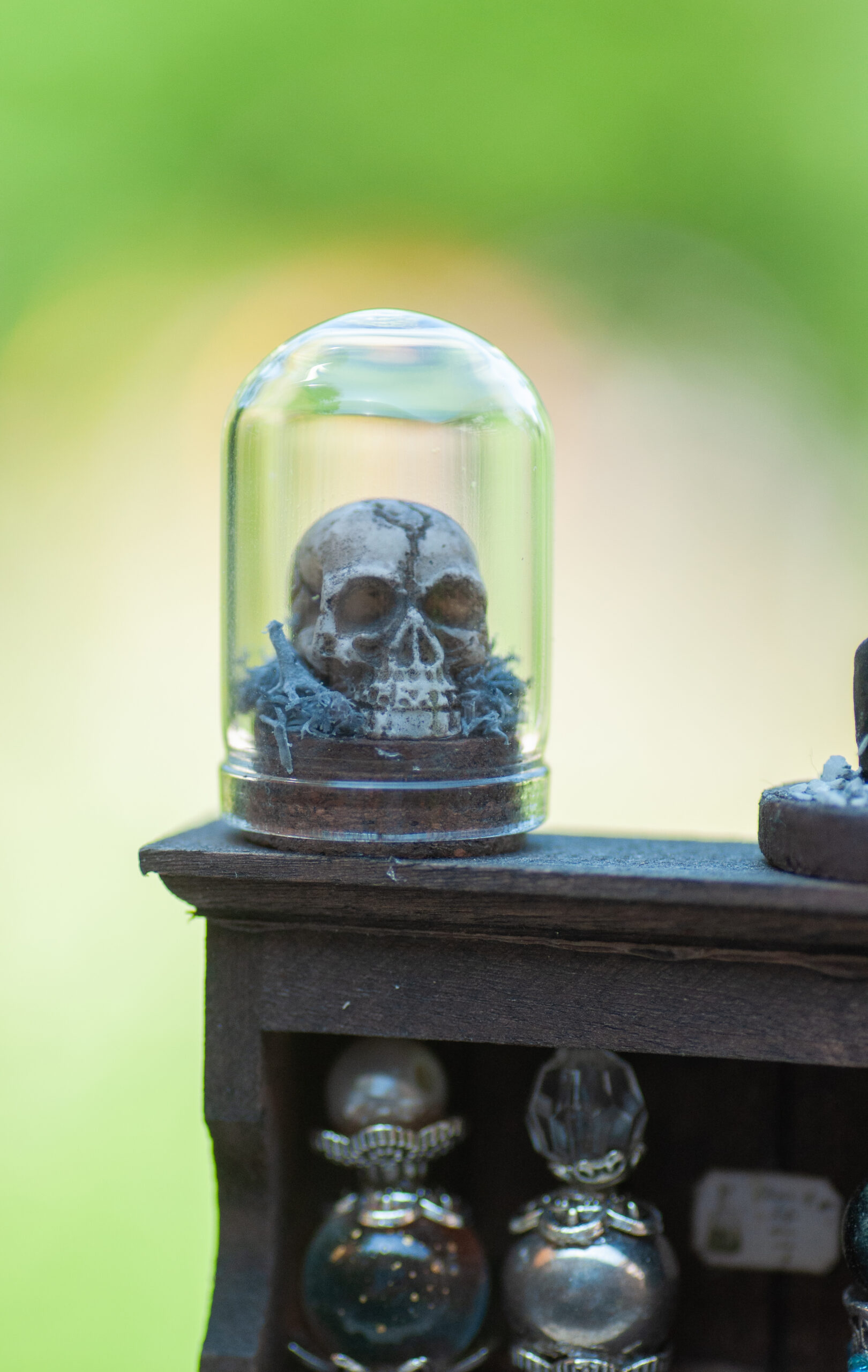 Sinister curiosity cabinet - Image 5