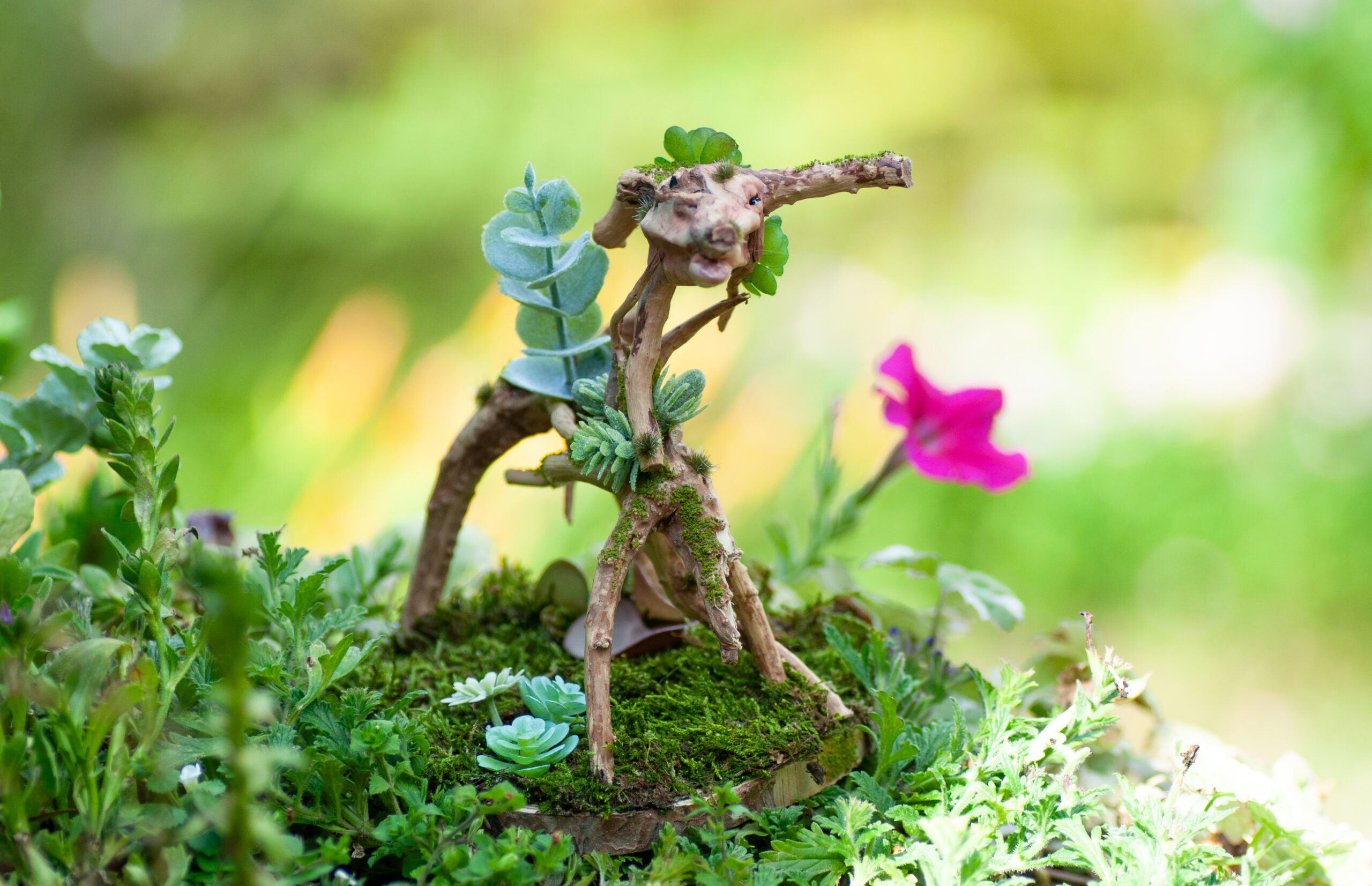 Guardian of the Mossbound Trail - Image 9