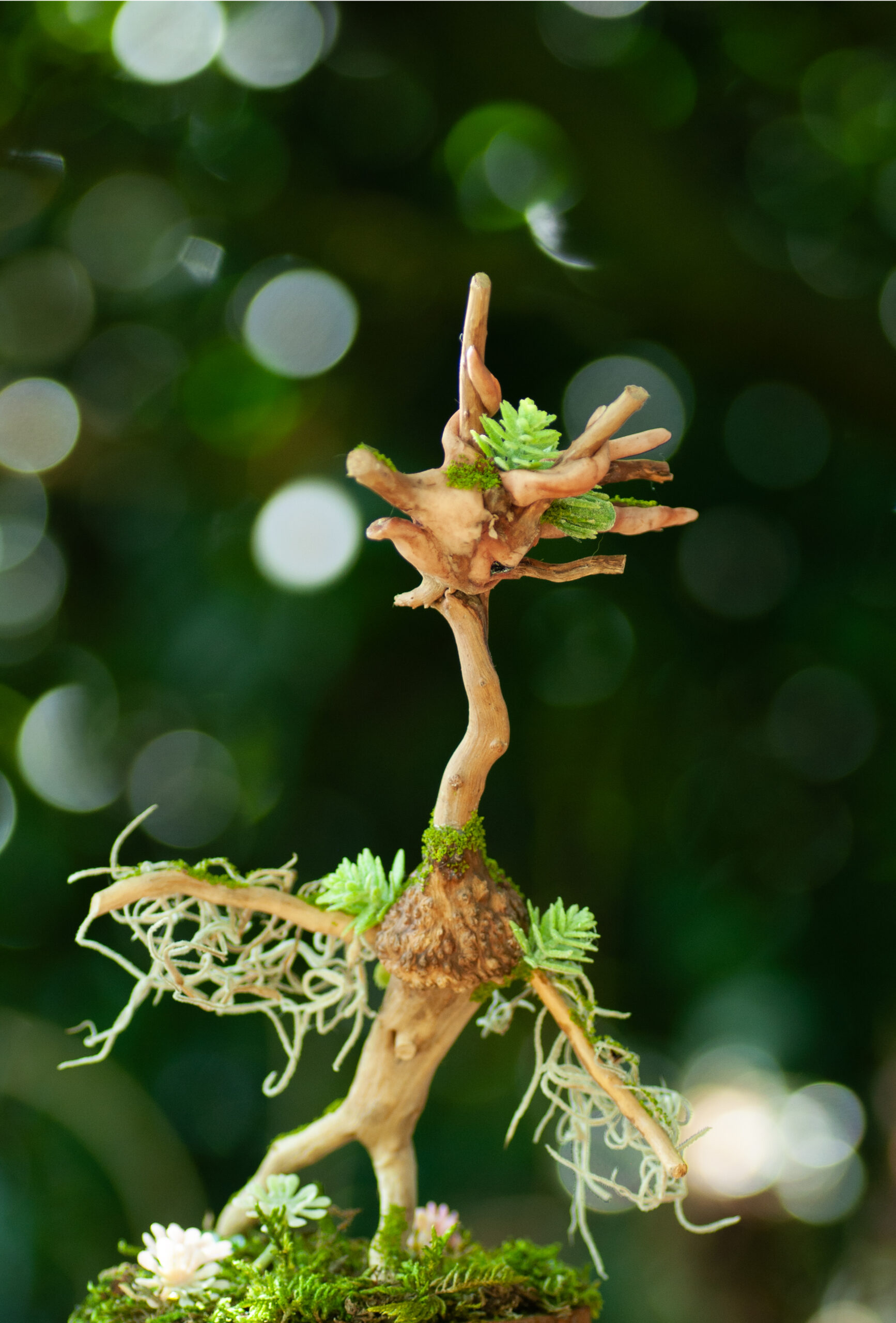 Keeper of the Wind-Touched Glade - Image 6