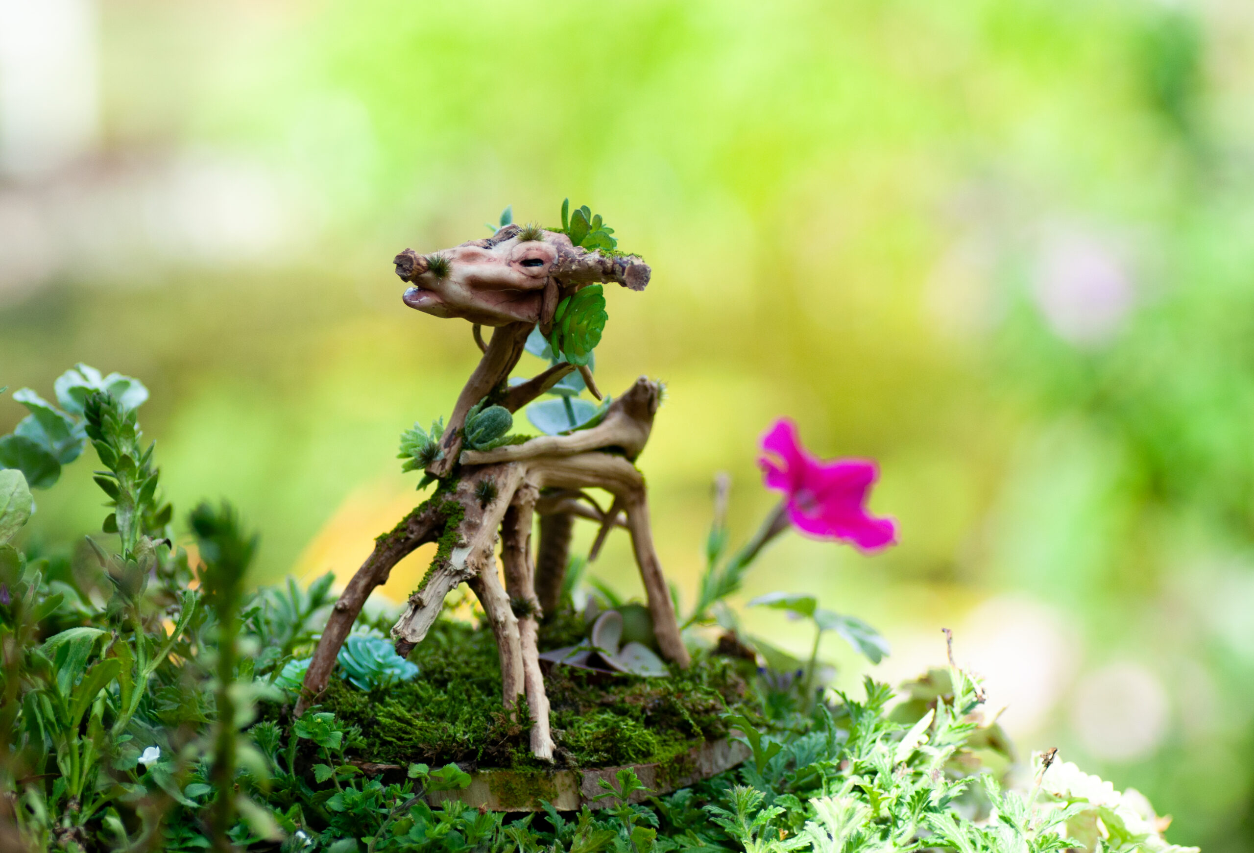 Guardian of the Mossbound Trail - Image 10