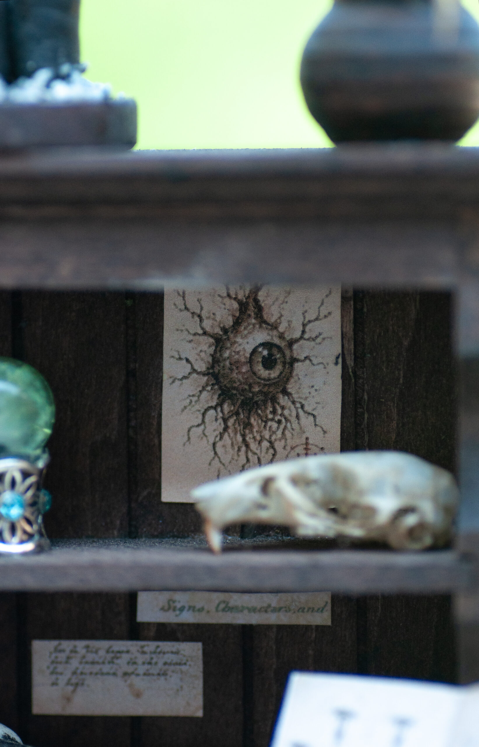 Sinister curiosity cabinet - Image 7