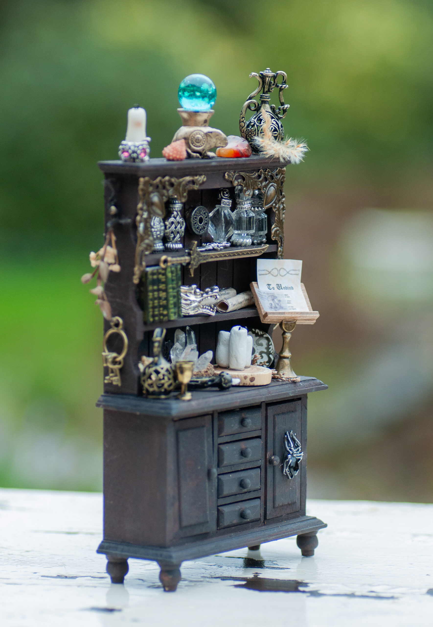 Dark curiosity cabinet - Image 2