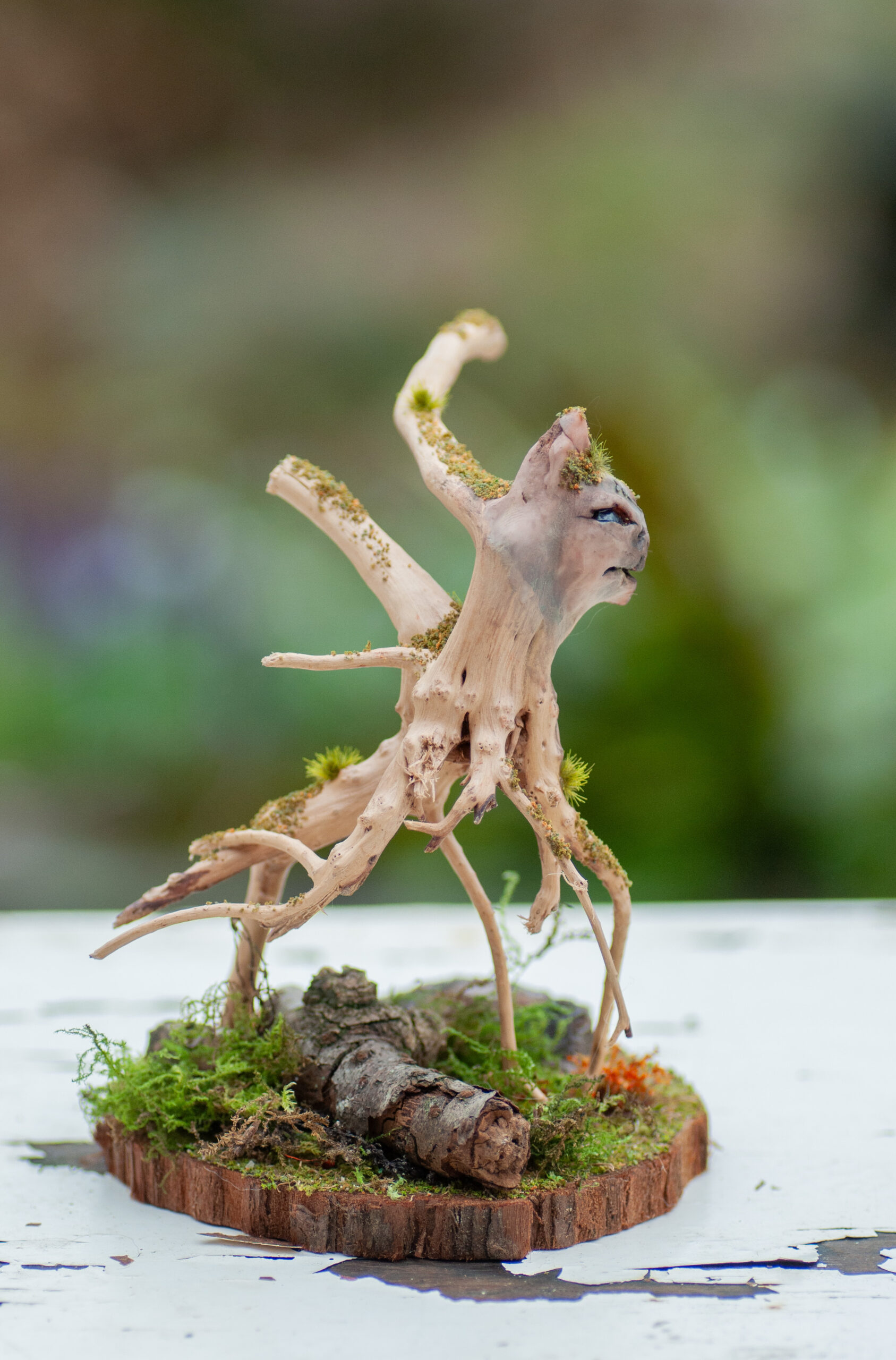 Roamer of the Elderwood - Image 11