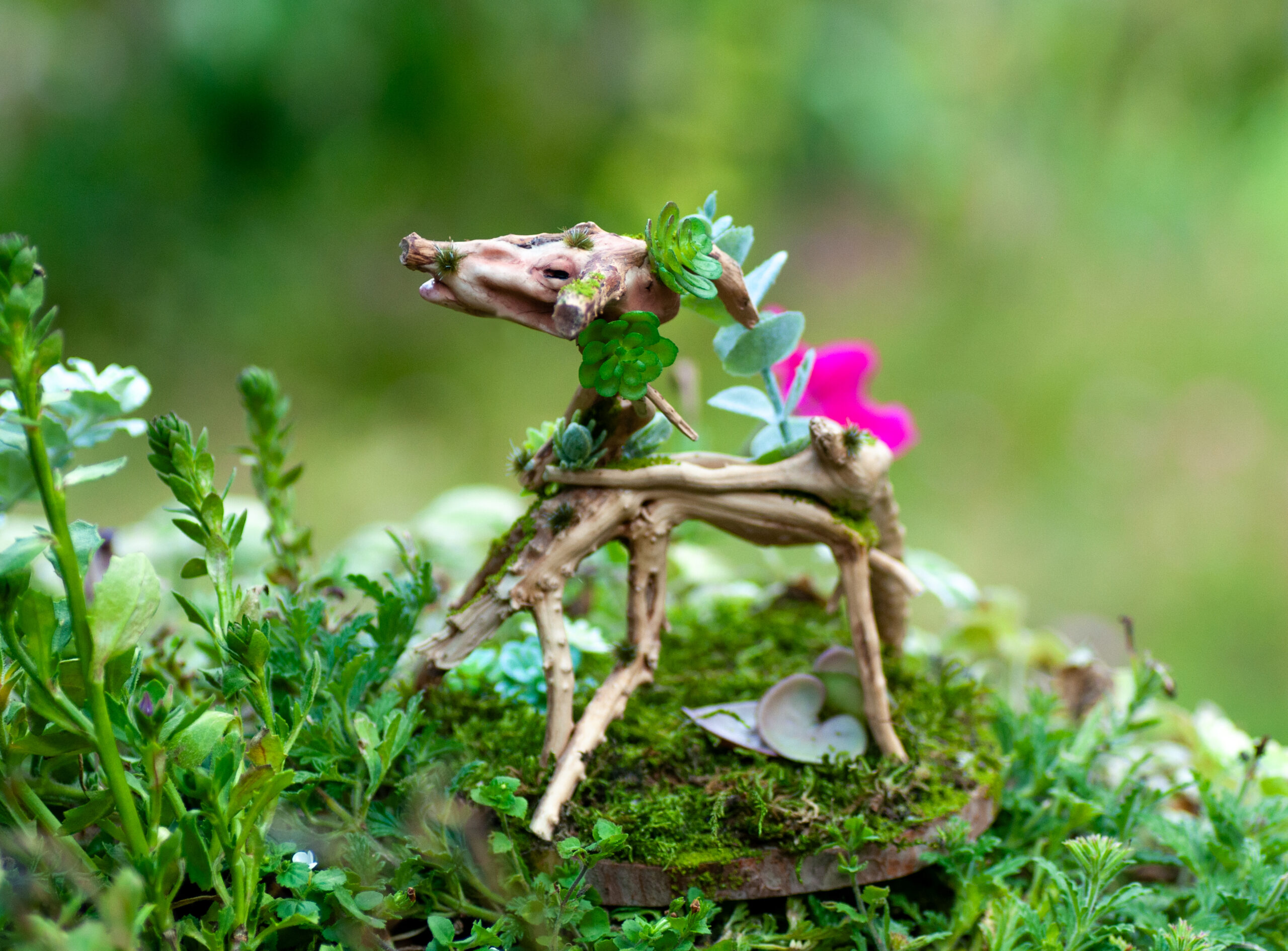 Guardian of the Mossbound Trail - Image 11