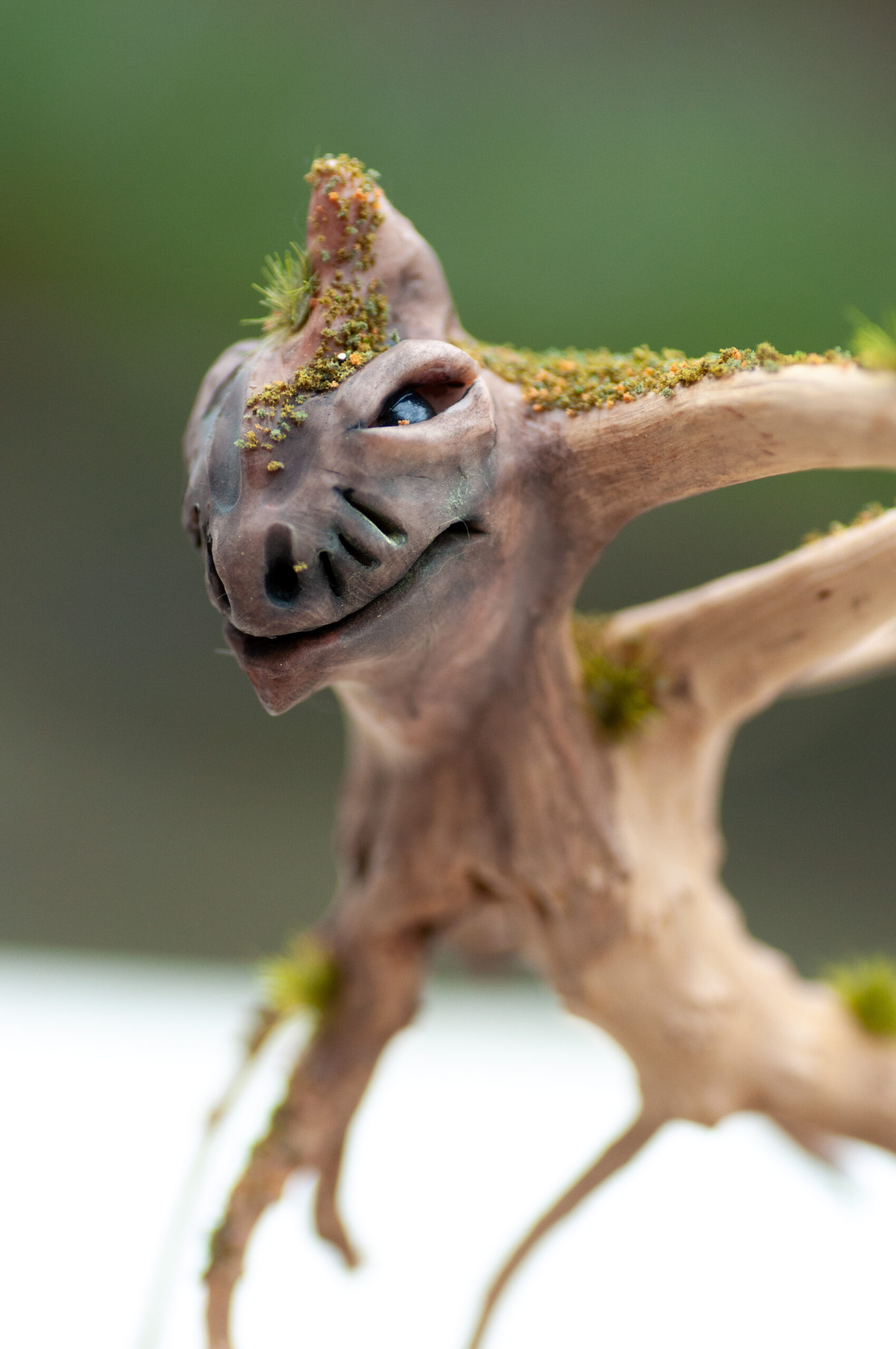 Roamer of the Elderwood - Image 12