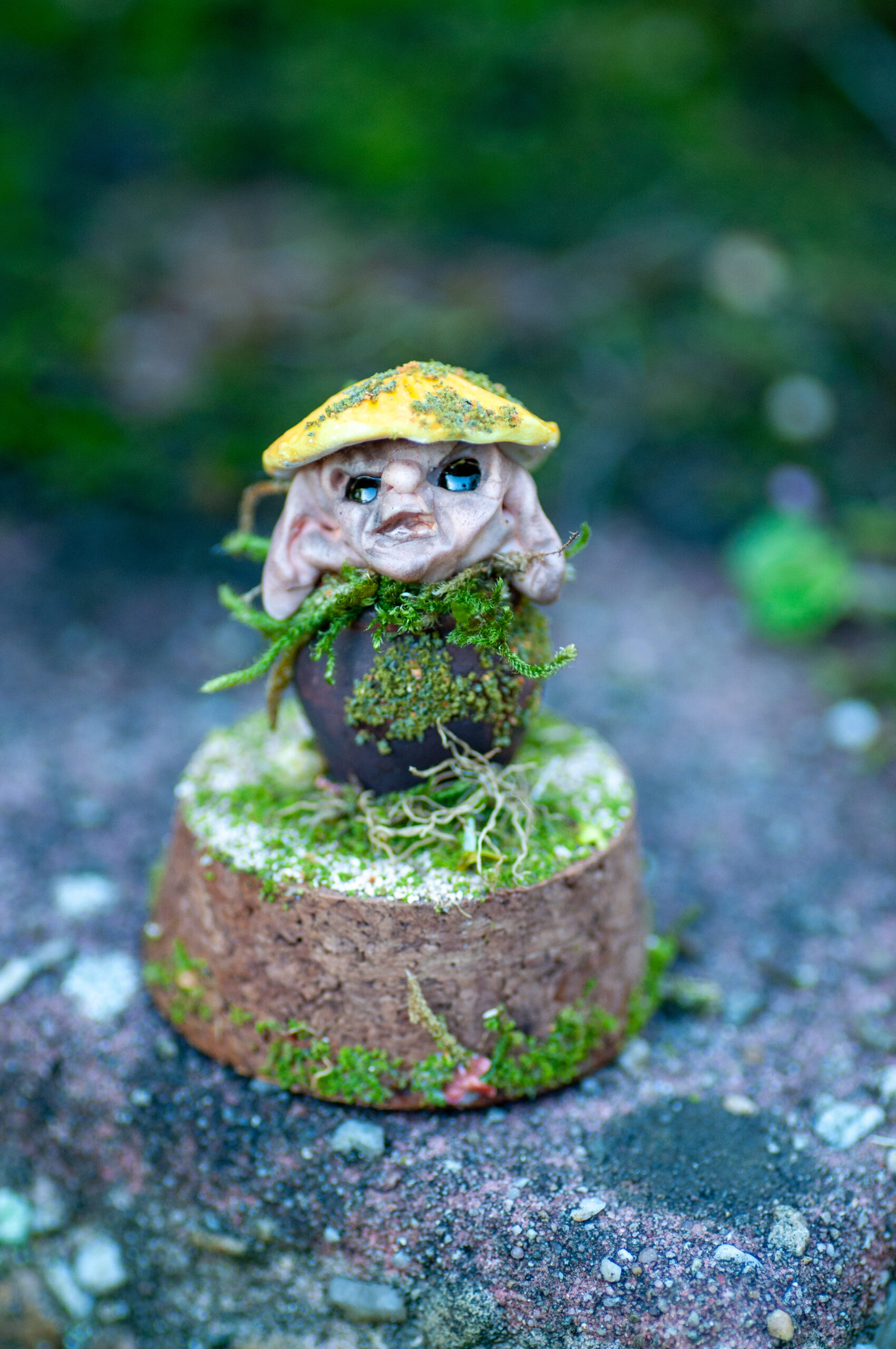 Sprig - Image 19