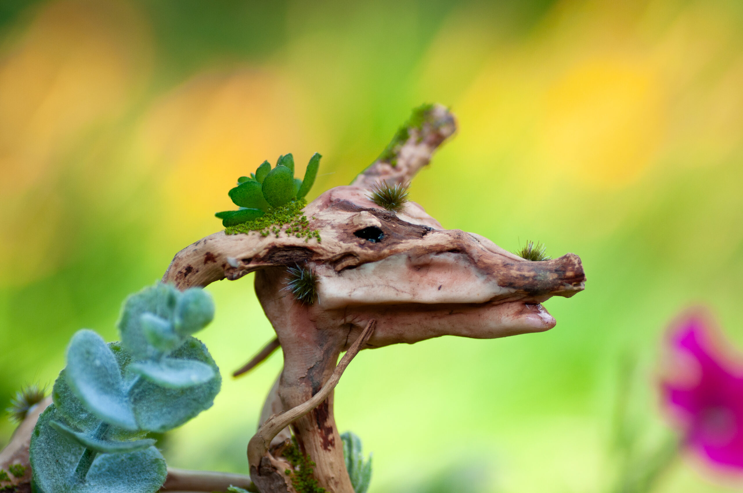 Guardian of the Mossbound Trail - Image 13