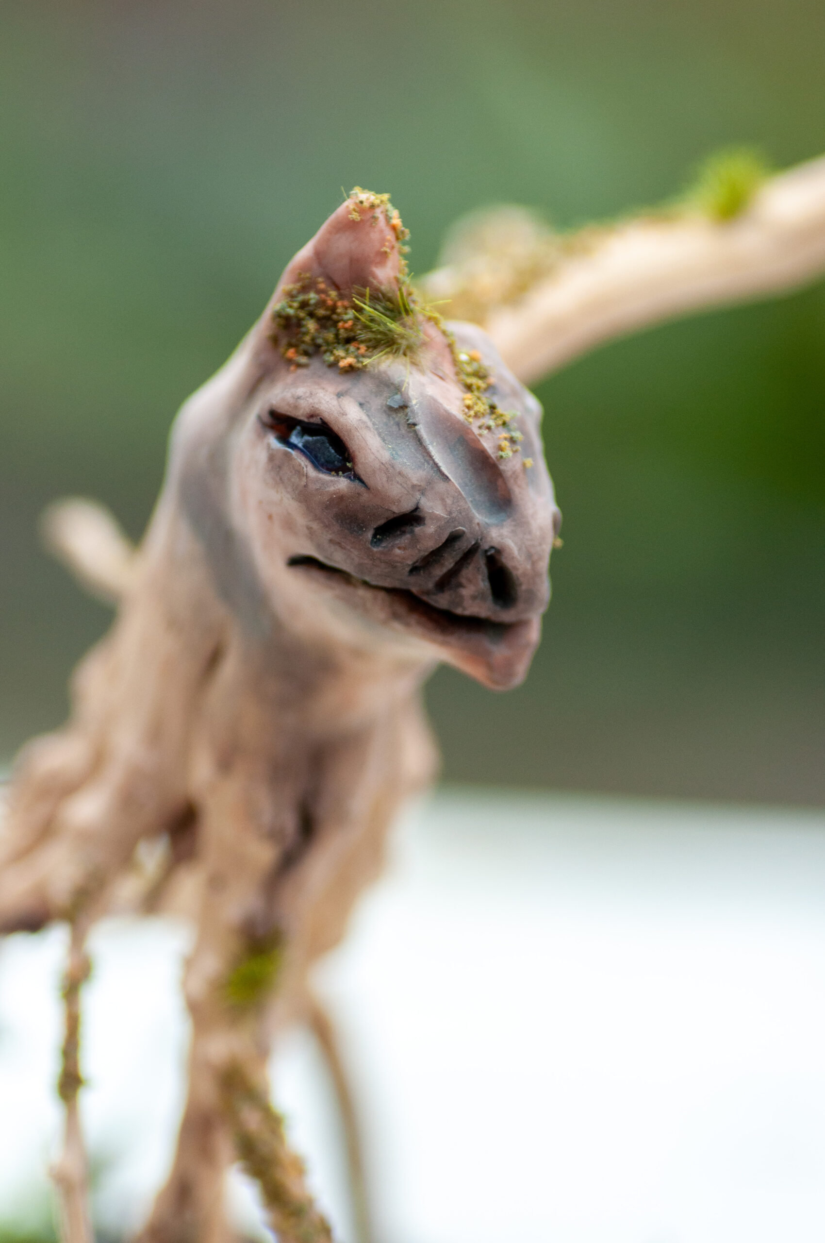 Roamer of the Elderwood - Image 7