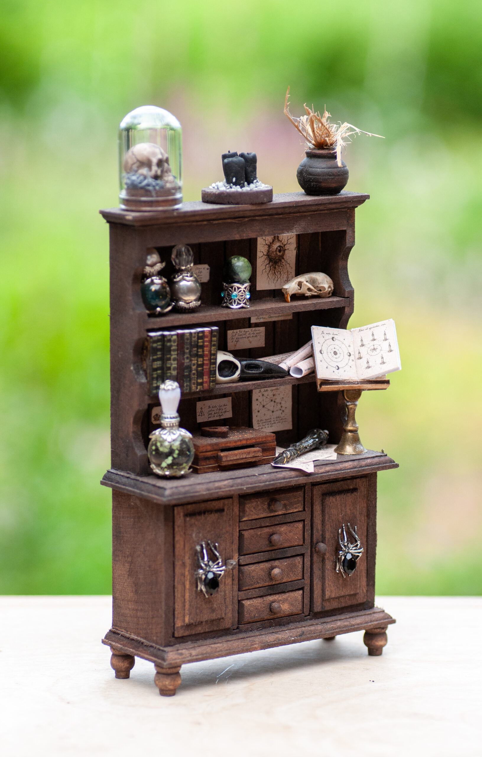 Sinister curiosity cabinet - Image 4