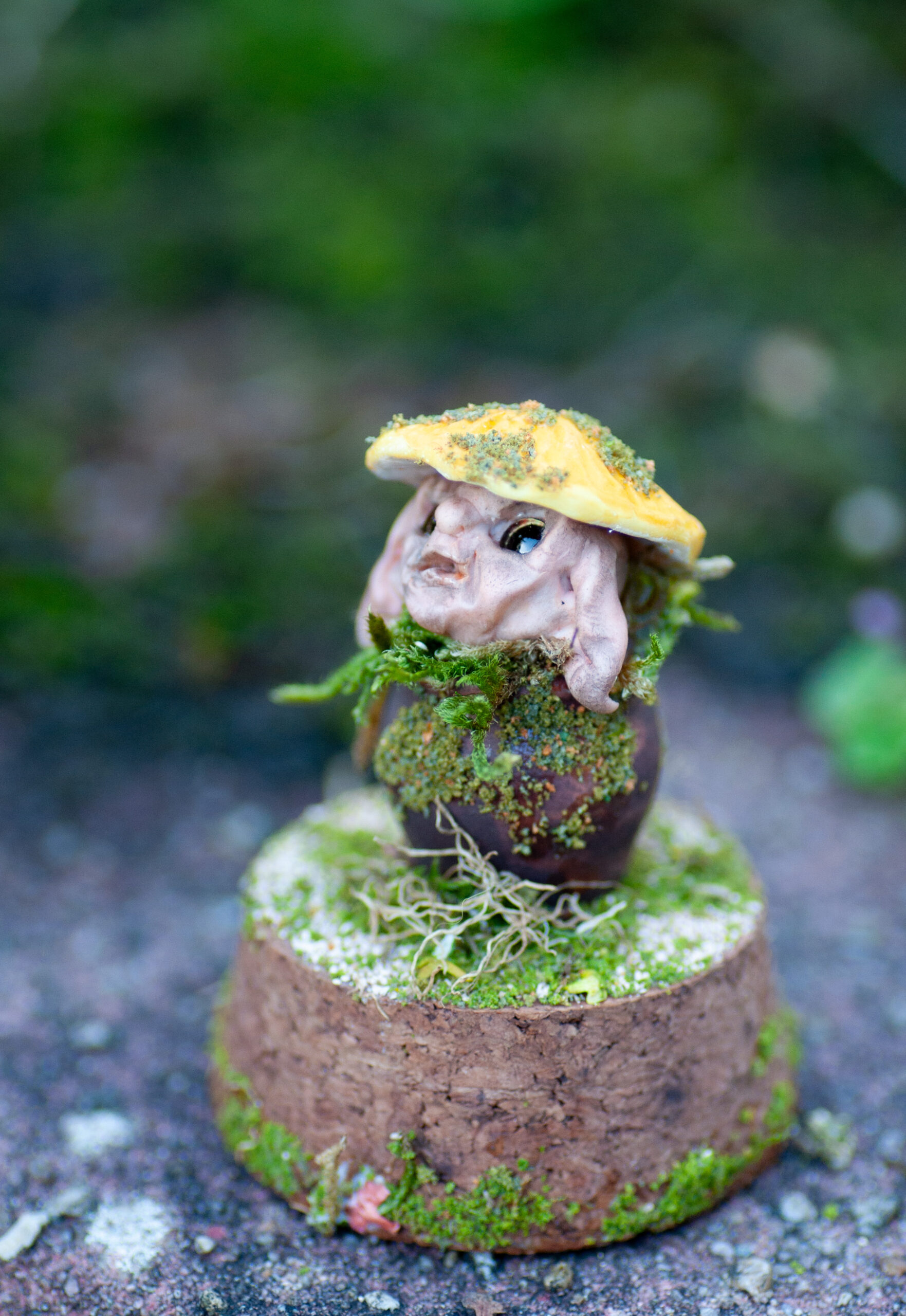 Sprig - Image 21