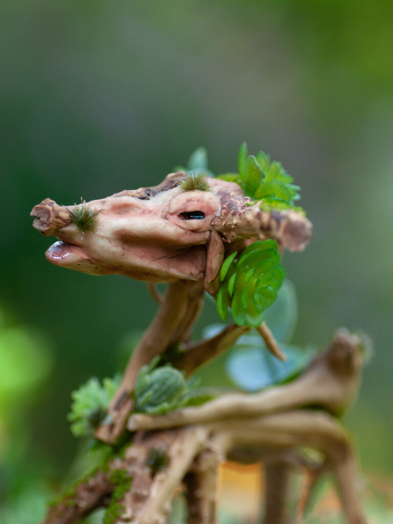Guardian of the Mossbound Trail