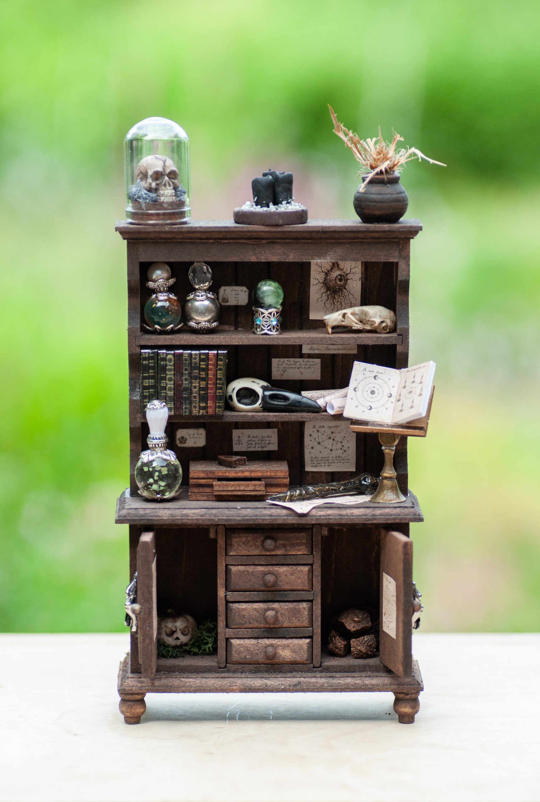 Sinister curiosity cabinet - Image 3