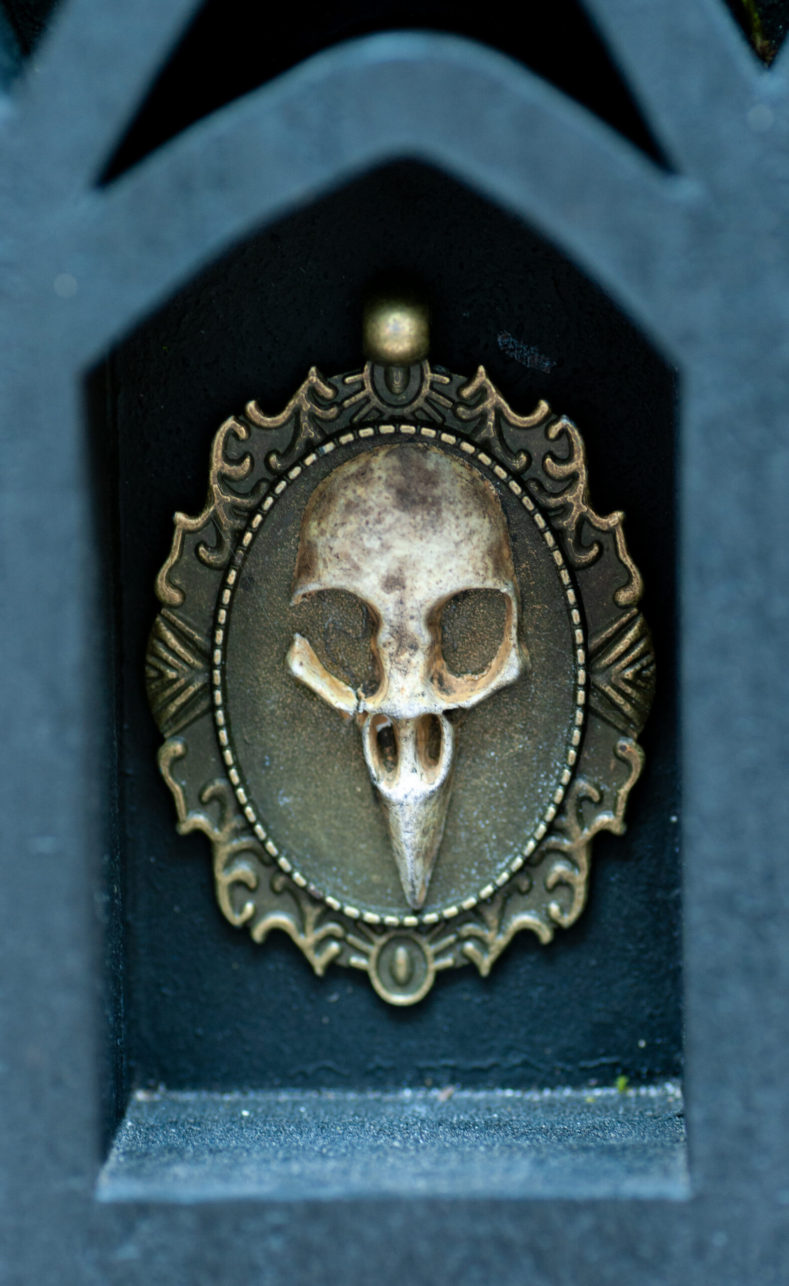 Arcane Curiosity Shelf - Image 5