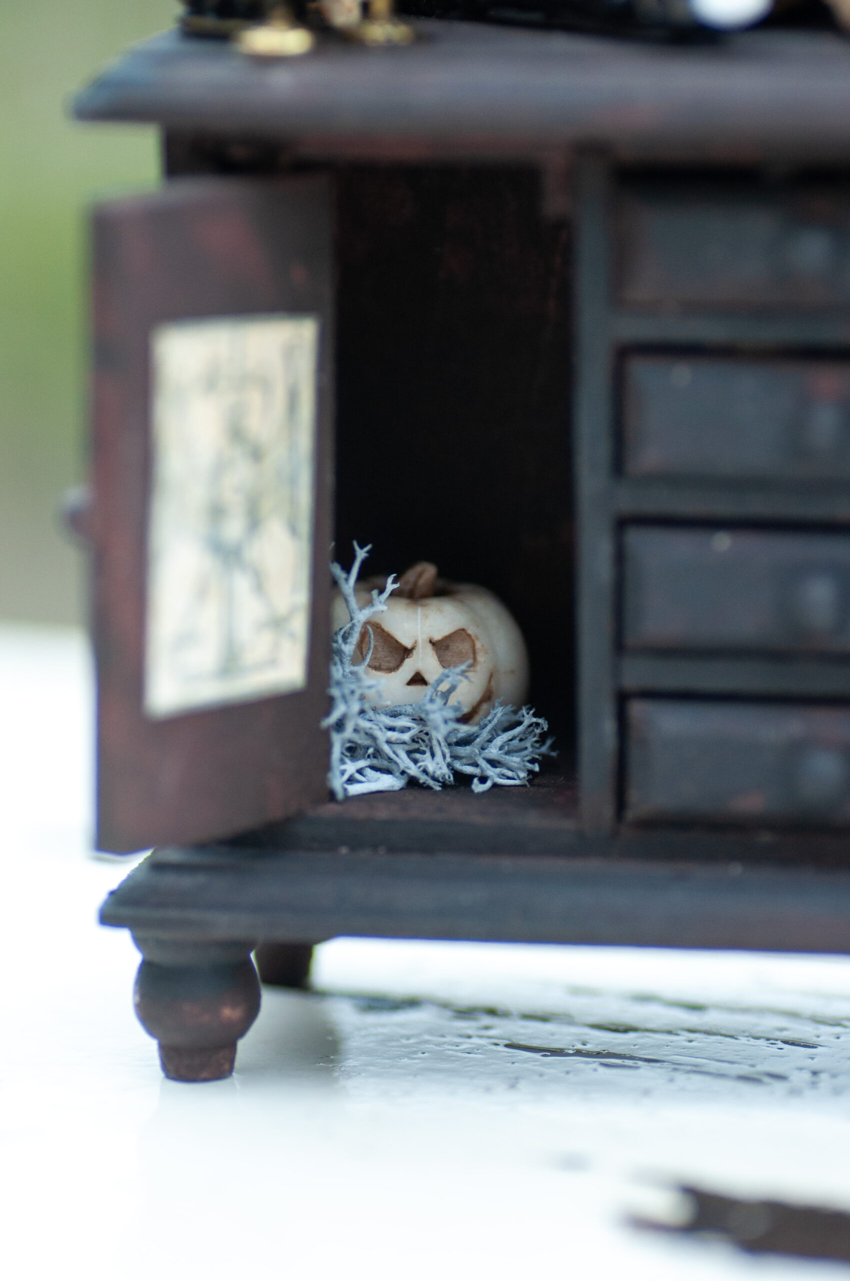 Dark curiosity cabinet - Image 11