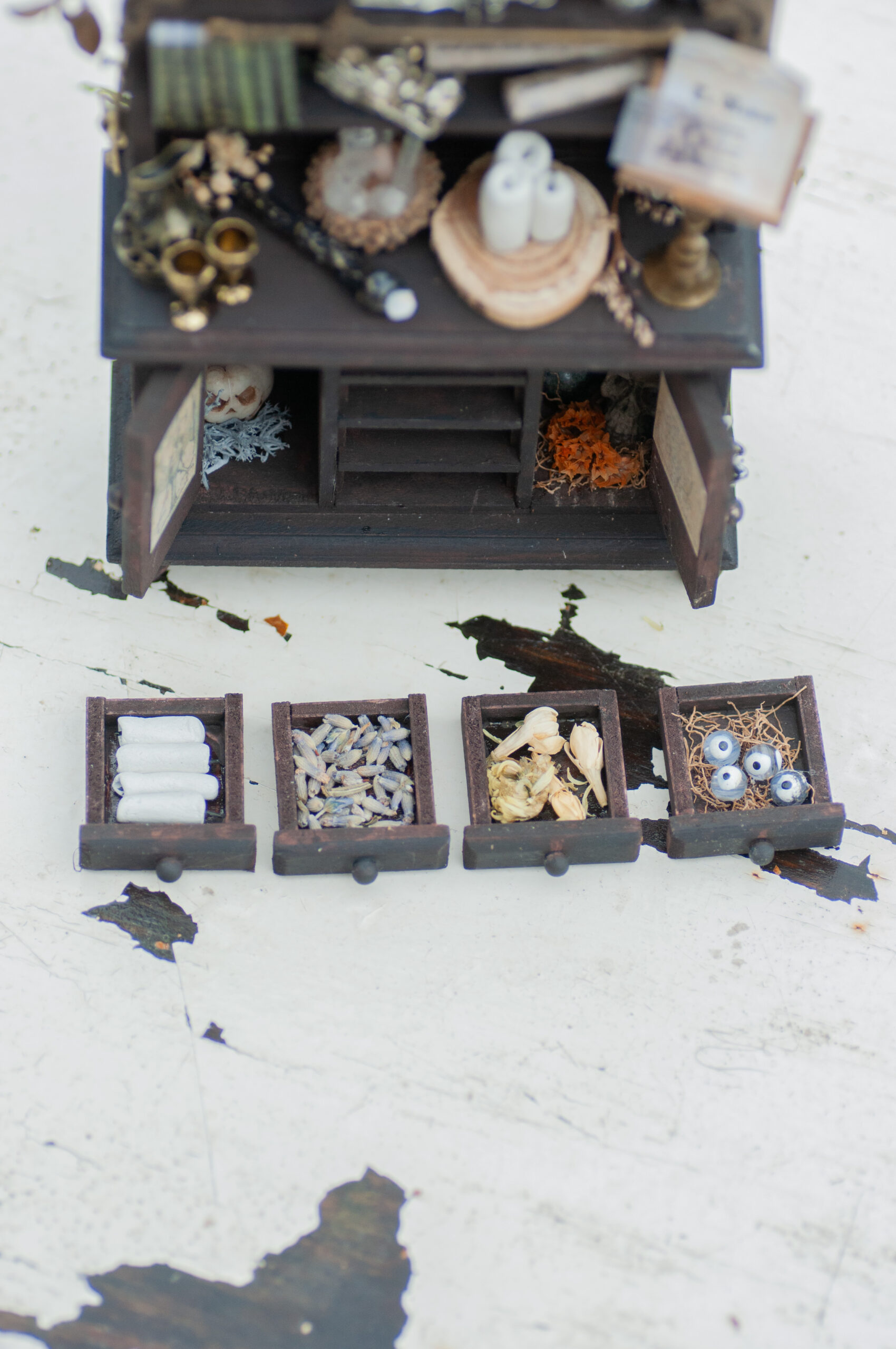 Dark curiosity cabinet - Image 13