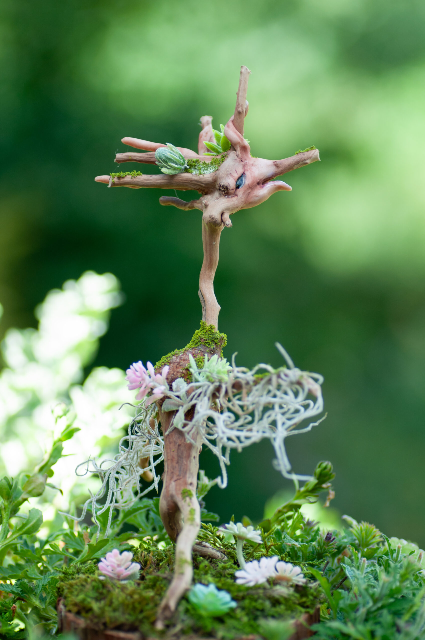 Keeper of the Wind-Touched Glade - Image 5
