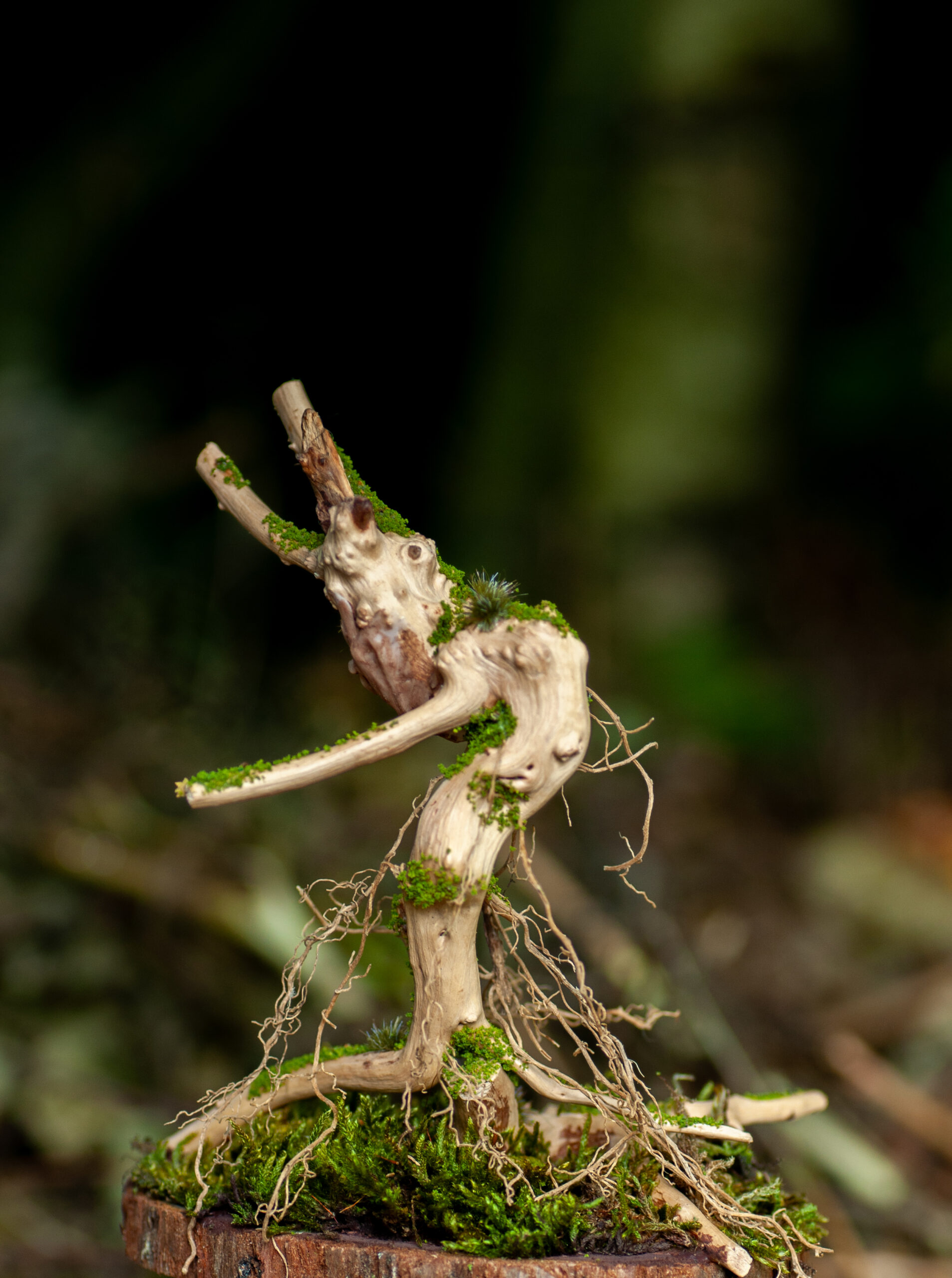 Watcher of the Twisted Hollow - Image 8