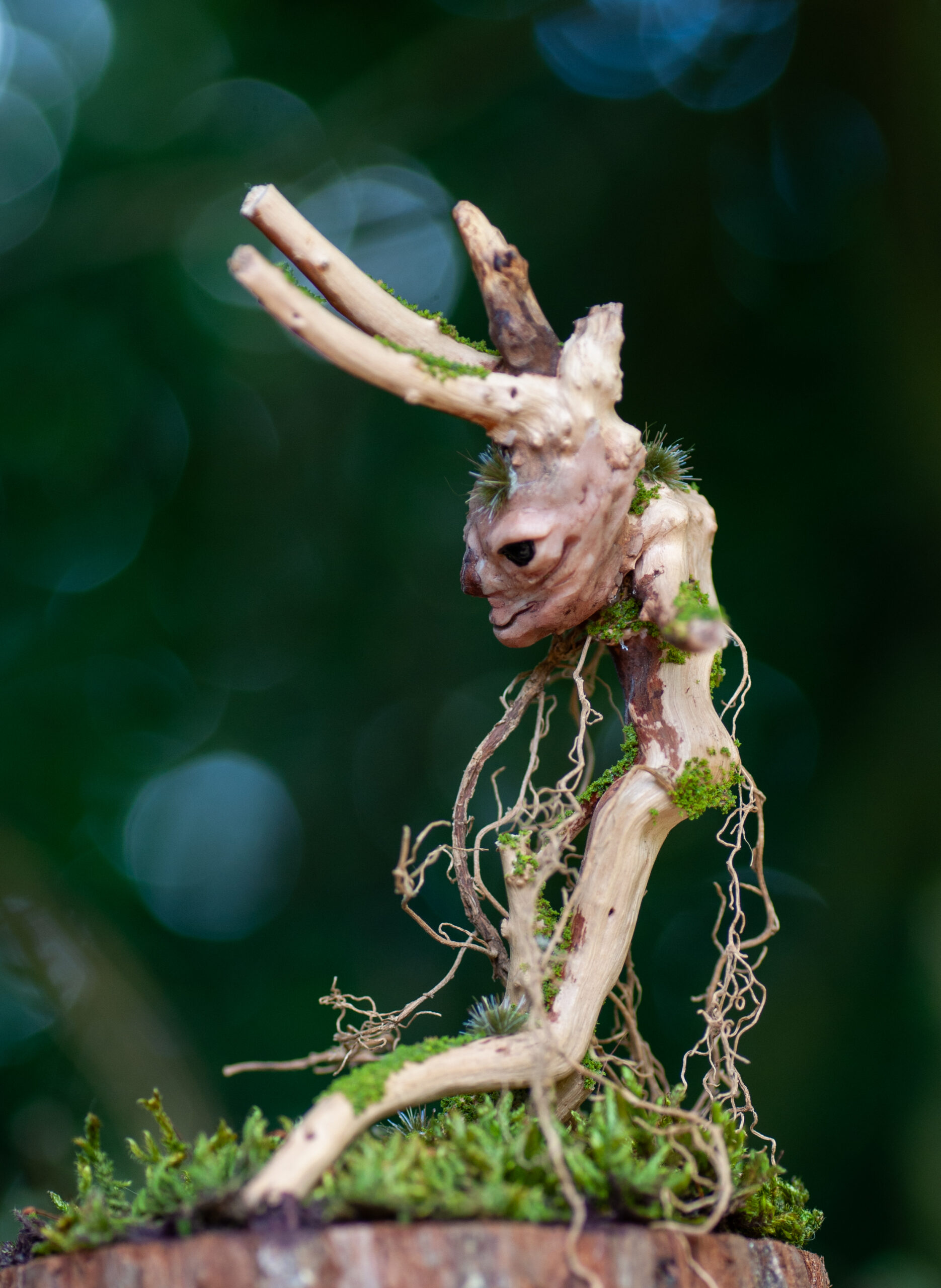 Watcher of the Twisted Hollow - Image 9