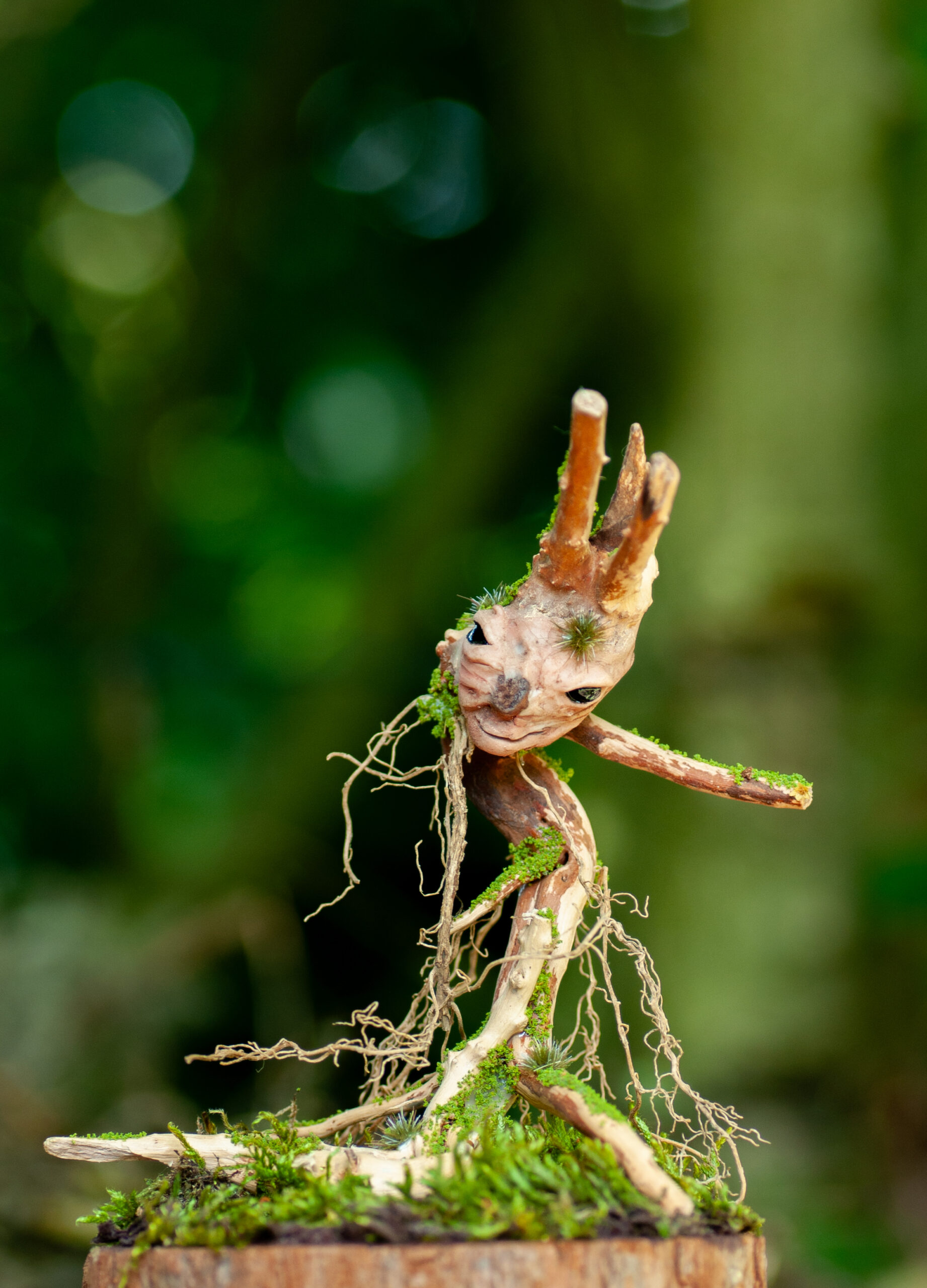 Watcher of the Twisted Hollow - Image 11