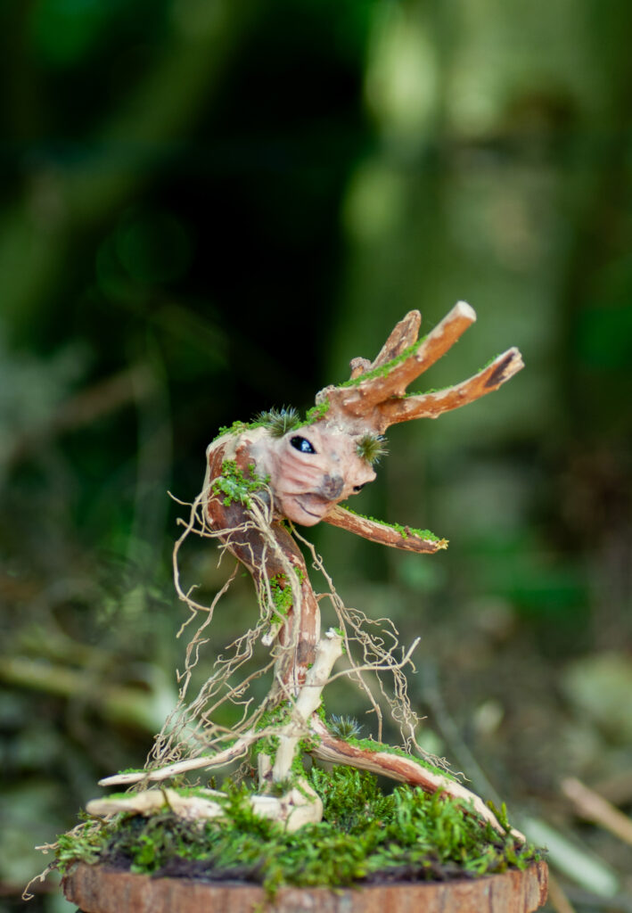 Watcher of the Twisted Hollow