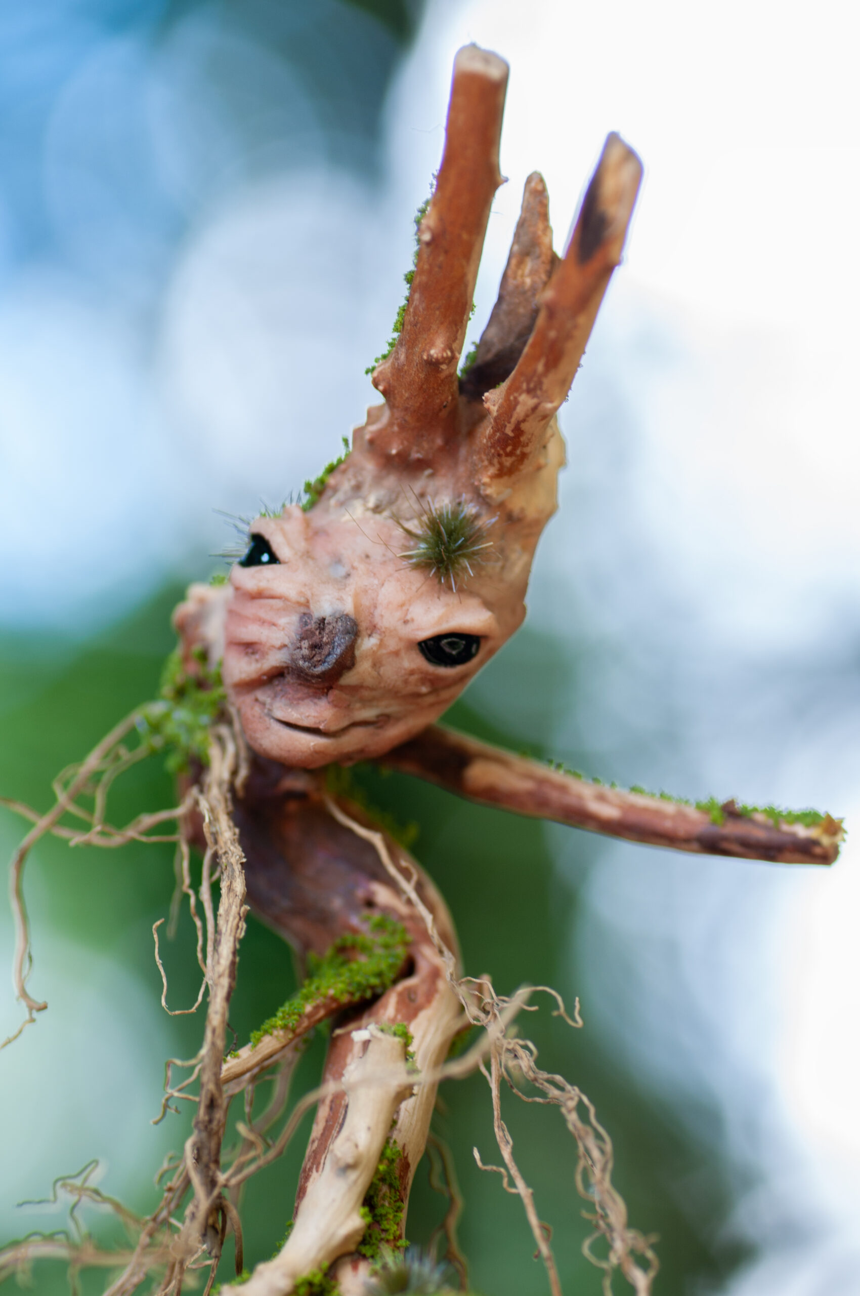 Watcher of the Twisted Hollow - Image 2