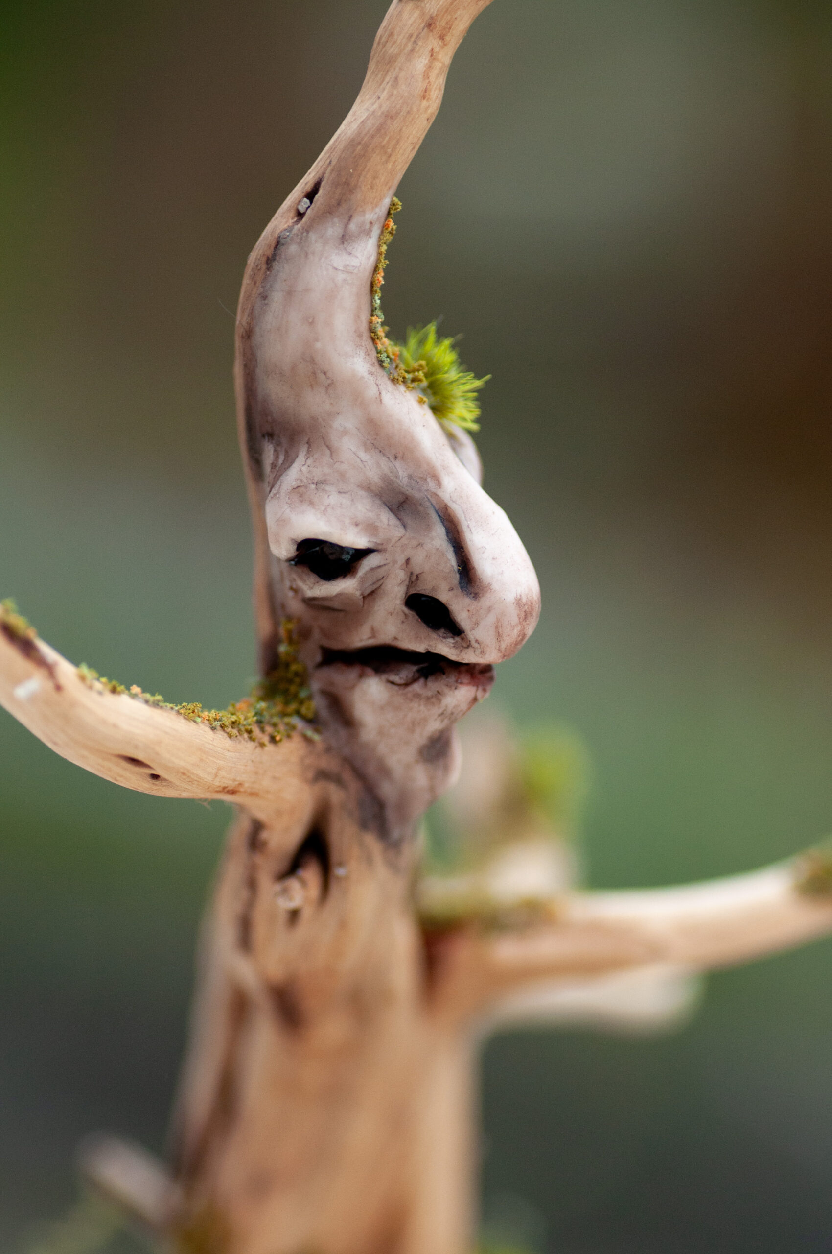 Watcher of the Elder Thicket - Image 7