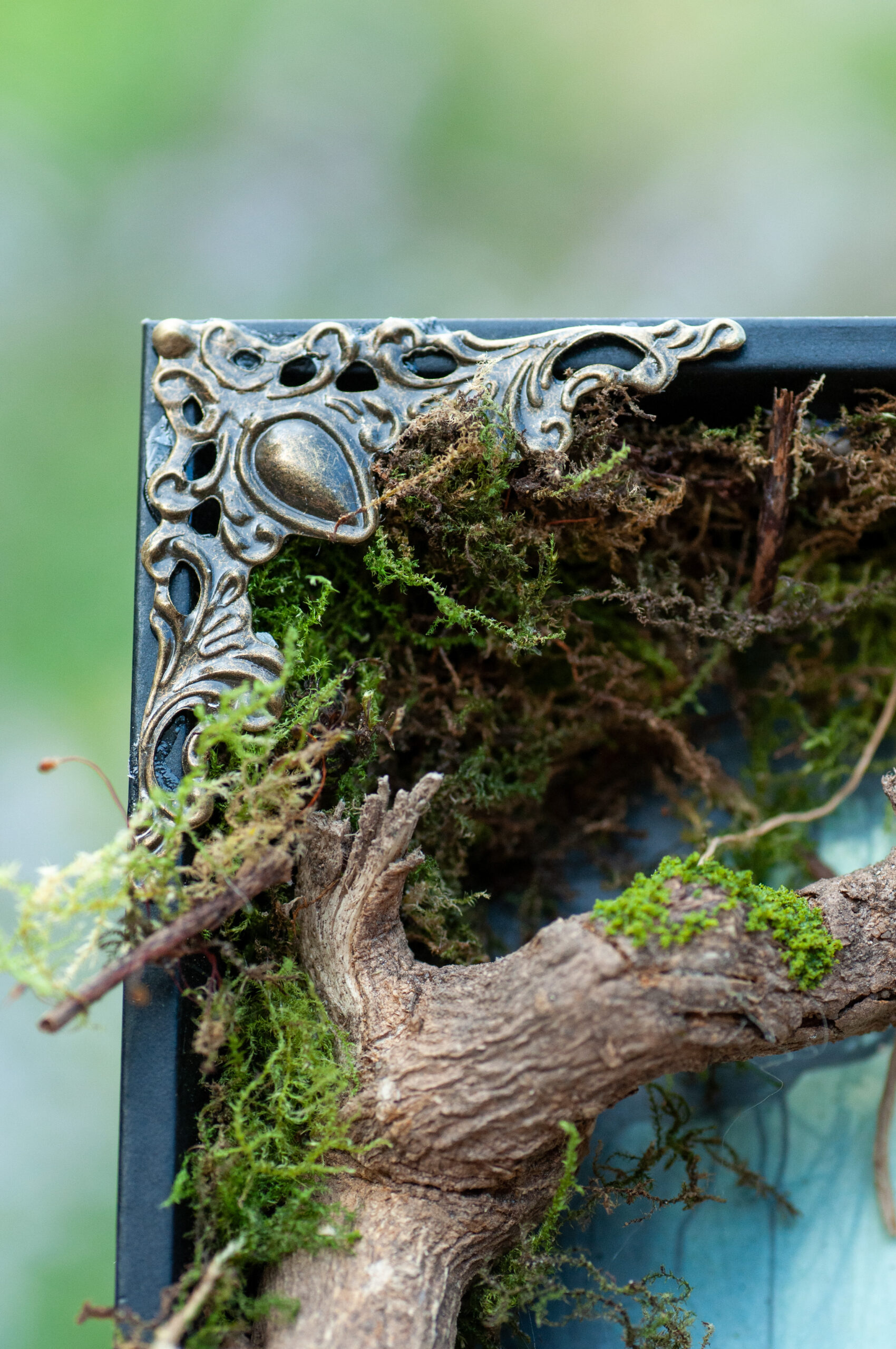 Mystical Fairy Portal - Image 5