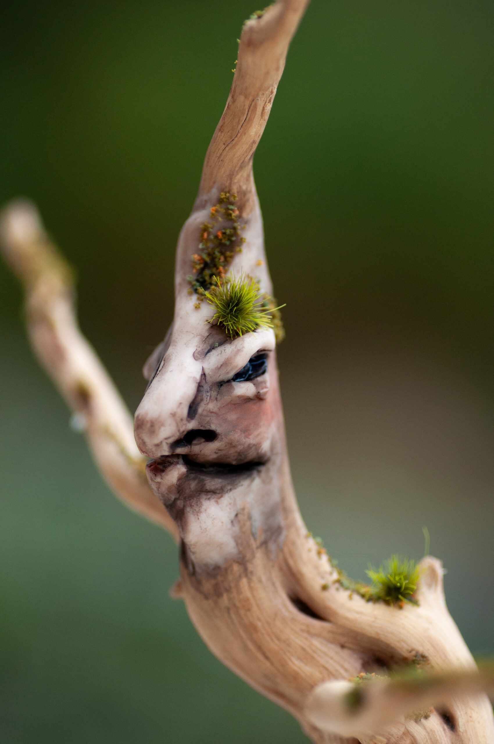 Watcher of the Elder Thicket - Image 8