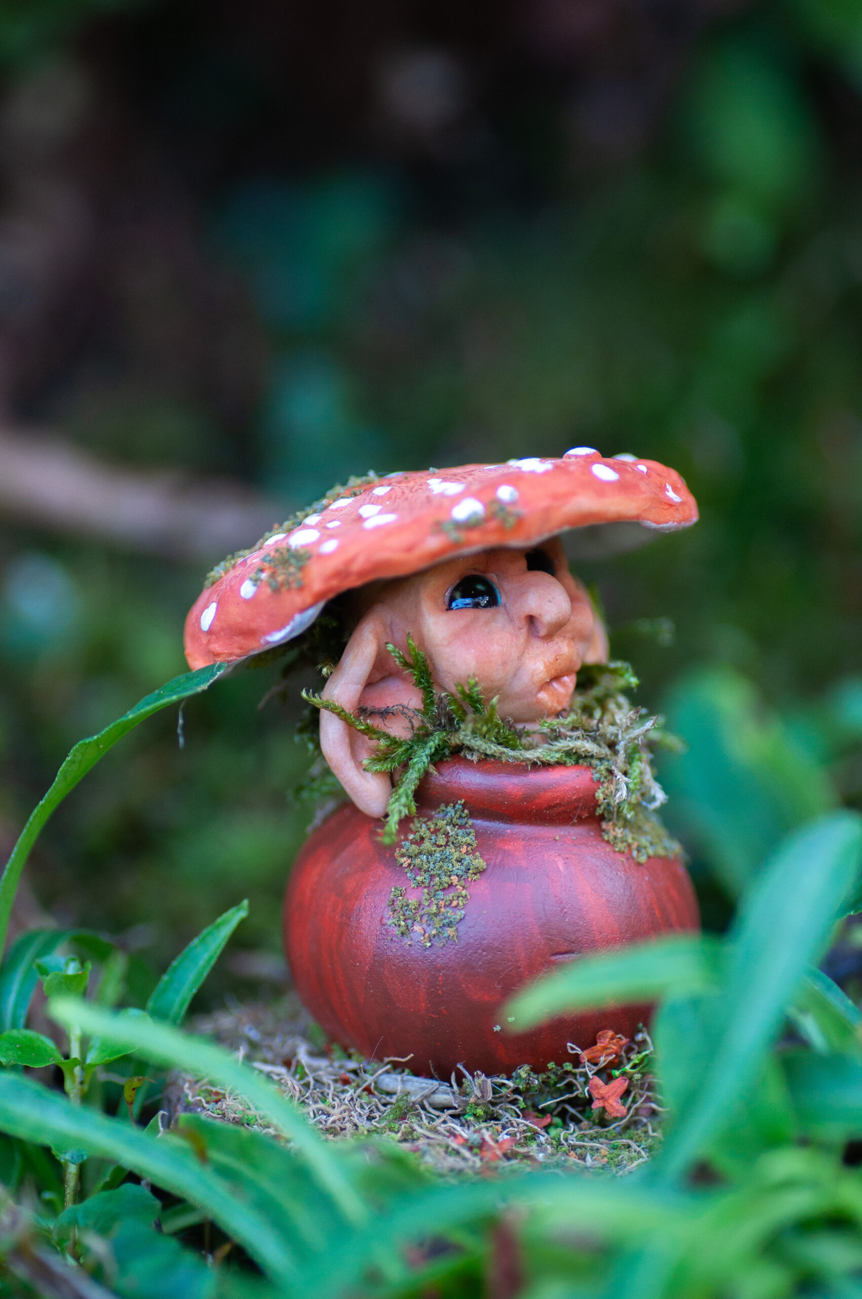 Tupp - Image 7