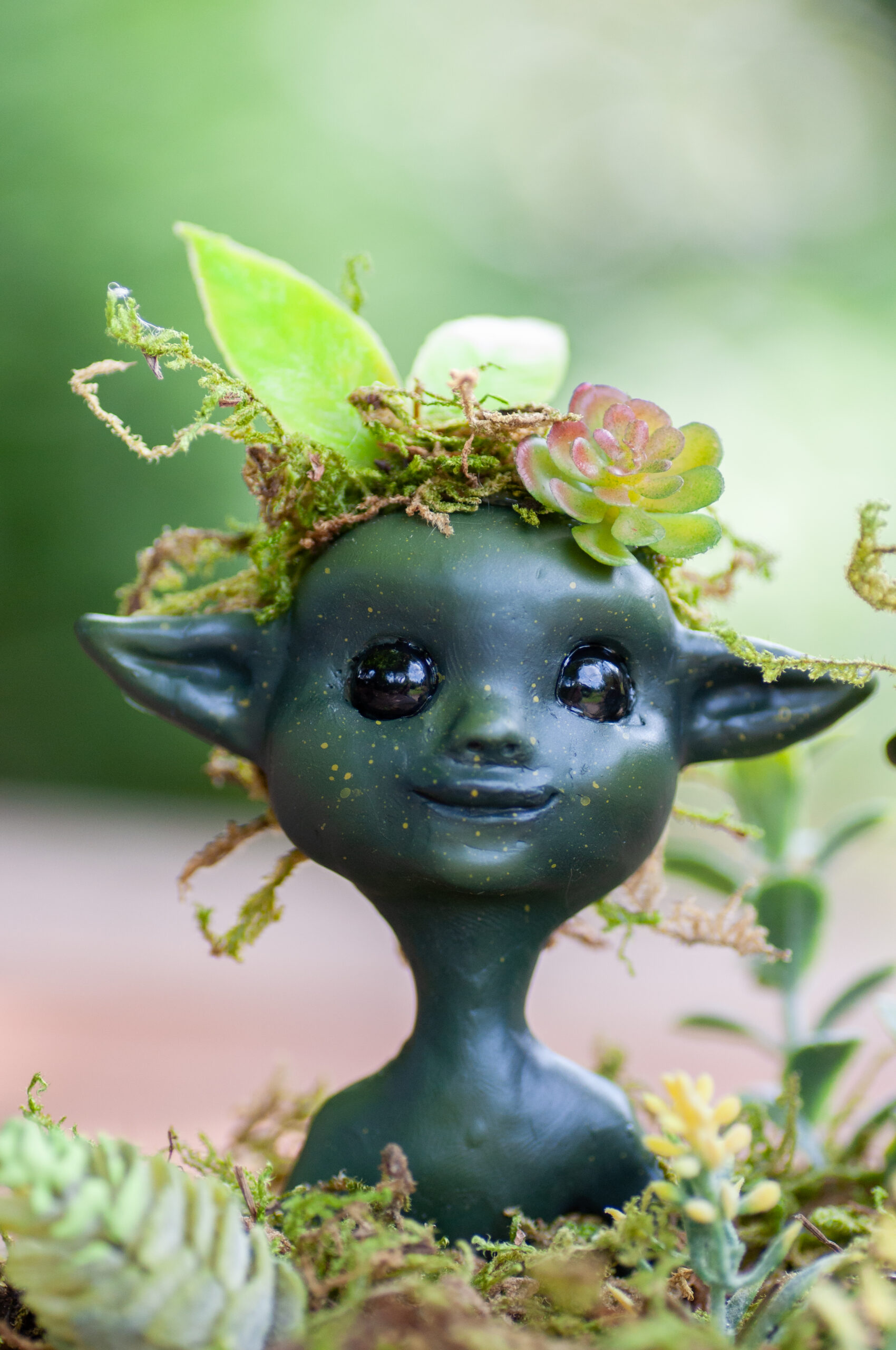 Taffel & Tibbin - Image 5