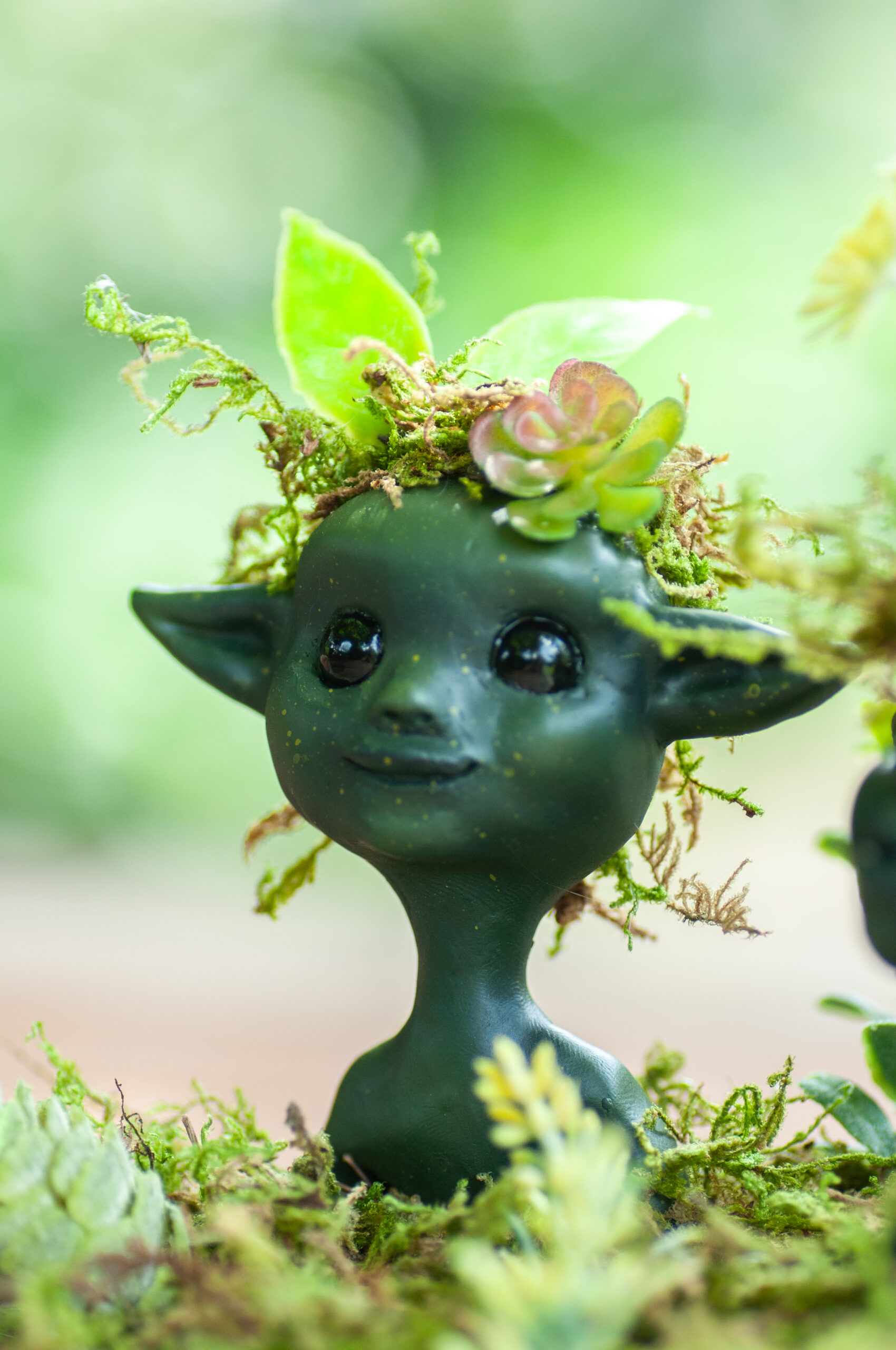 Taffel & Tibbin - Image 4