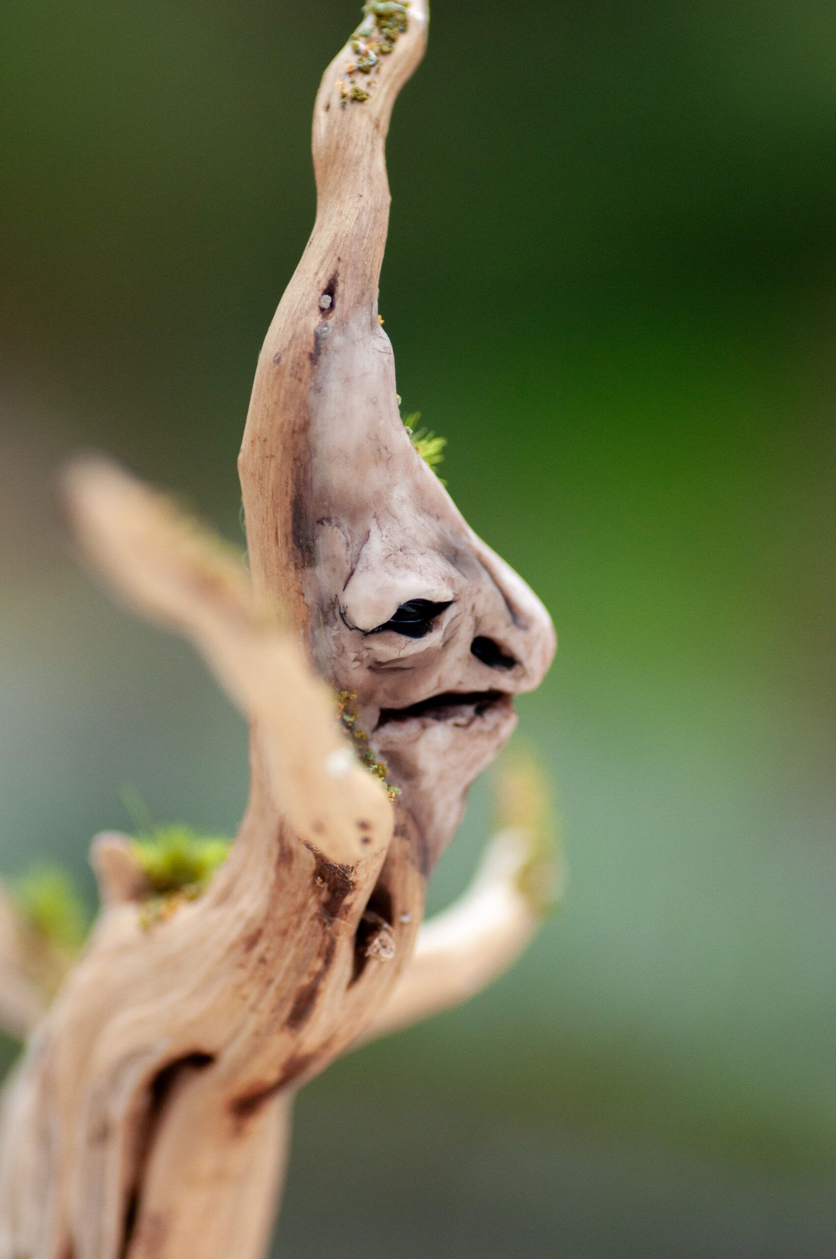 Watcher of the Elder Thicket - Image 4