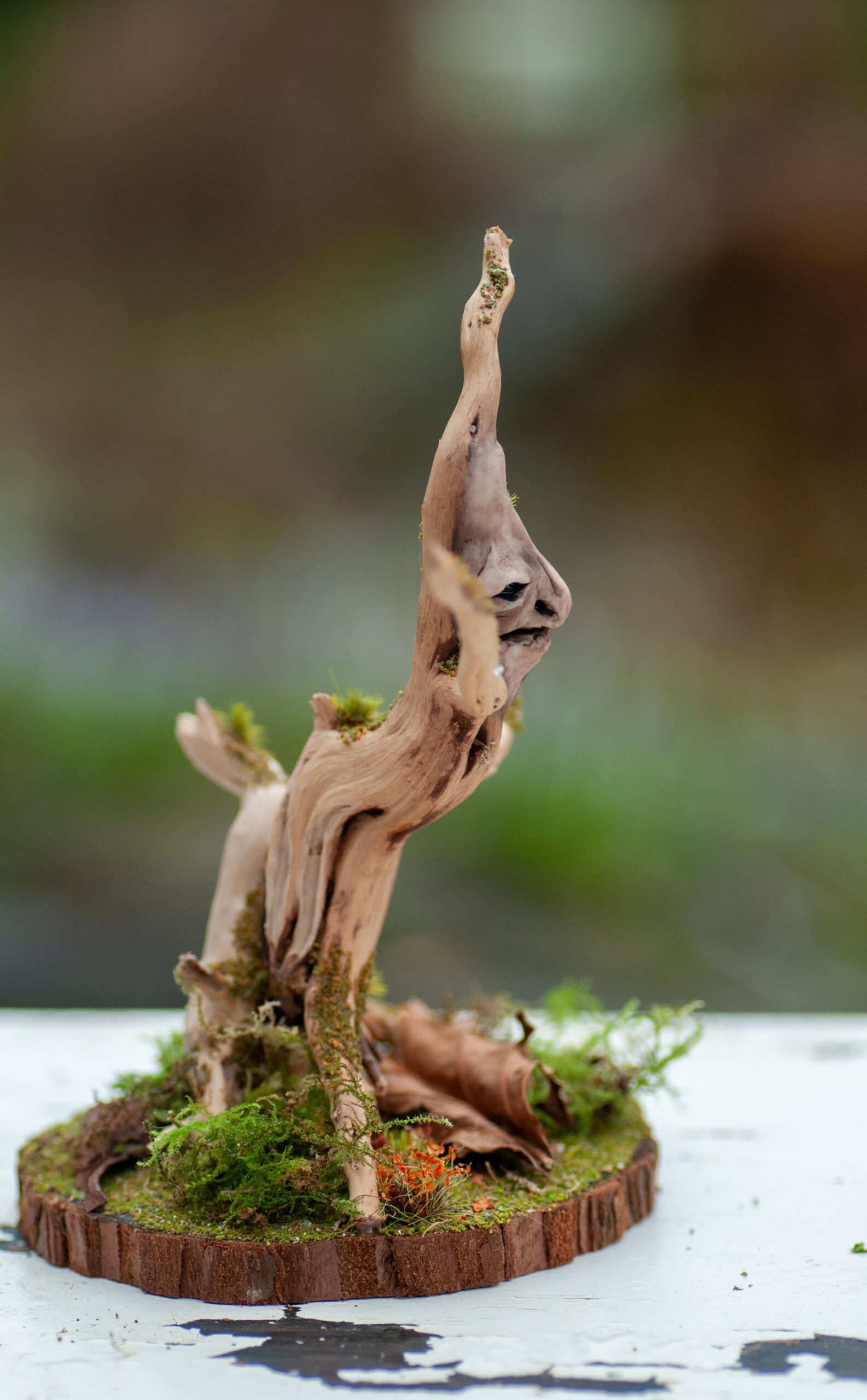 Watcher of the Elder Thicket - Image 5