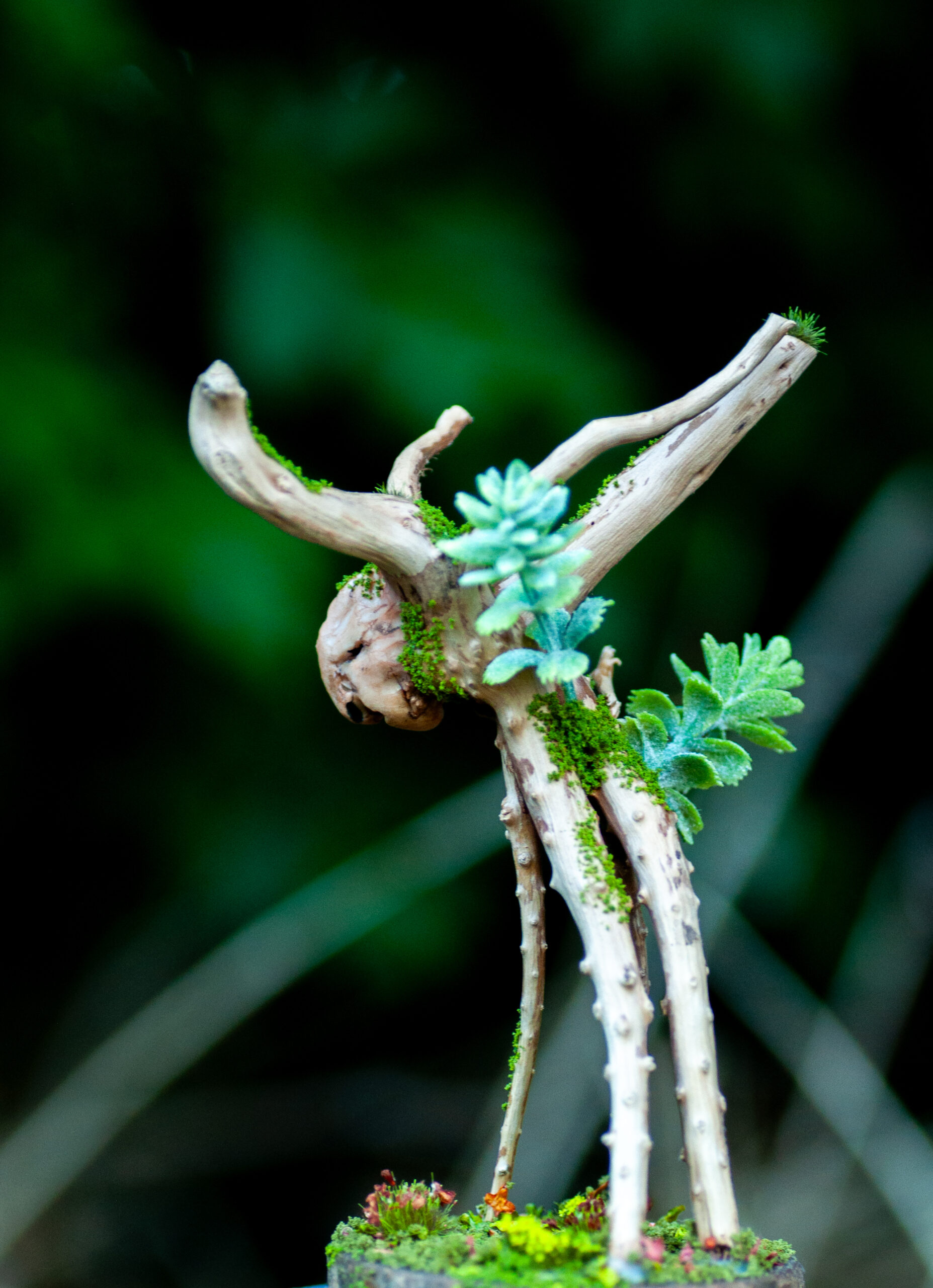 Sentinel of the Quiet Canopy - Image 11