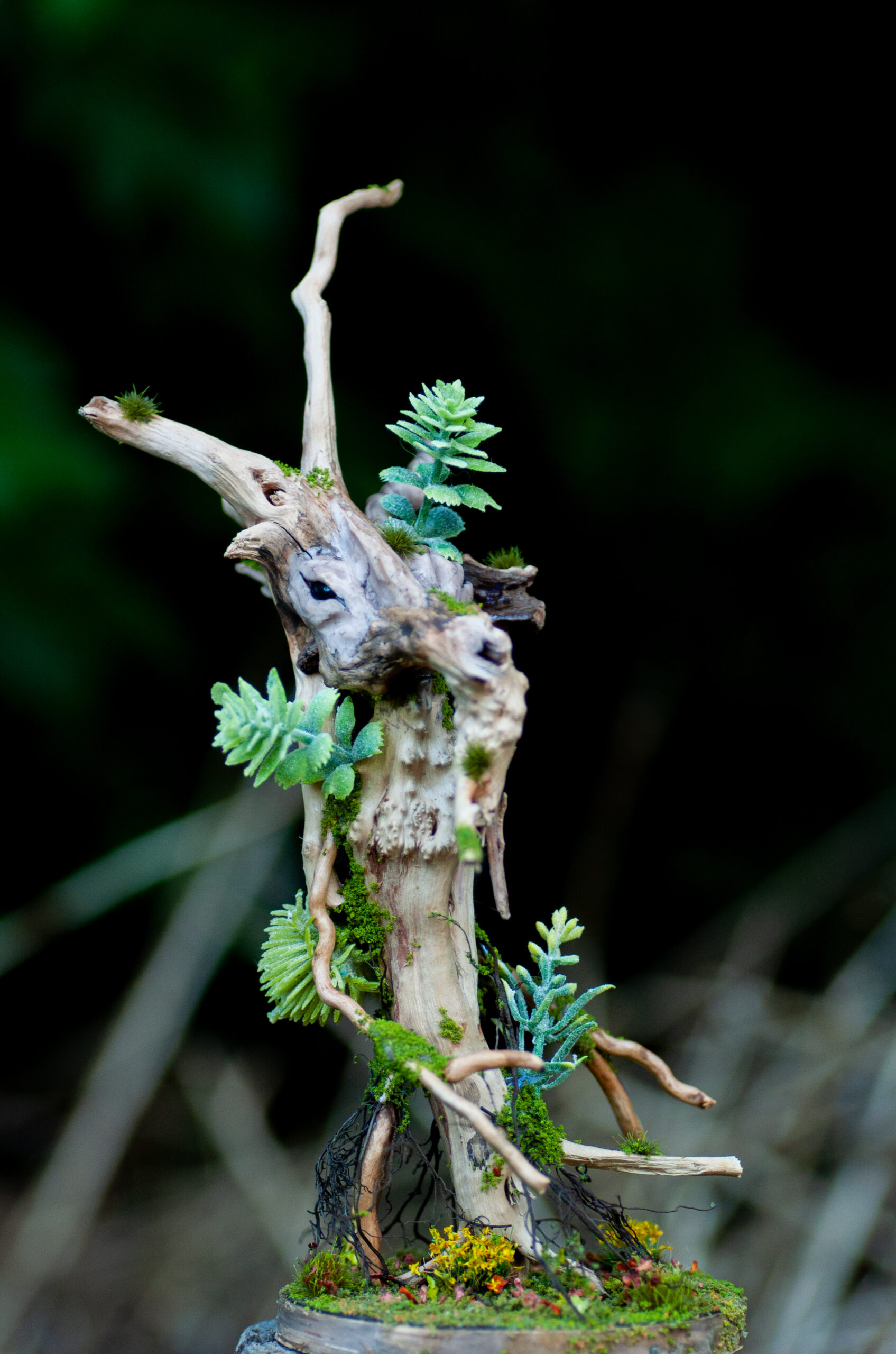 Keeper of the Rainwood - Image 6