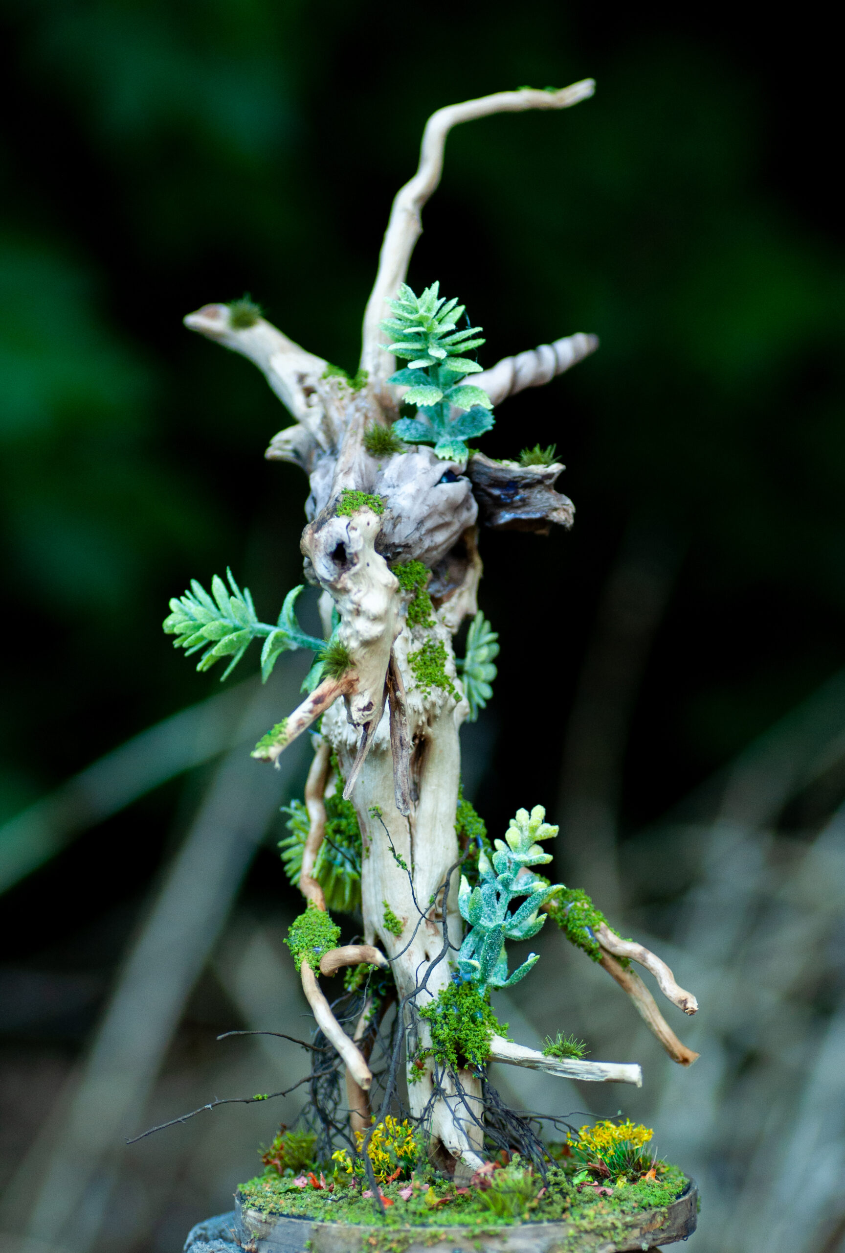 Keeper of the Rainwood - Image 7