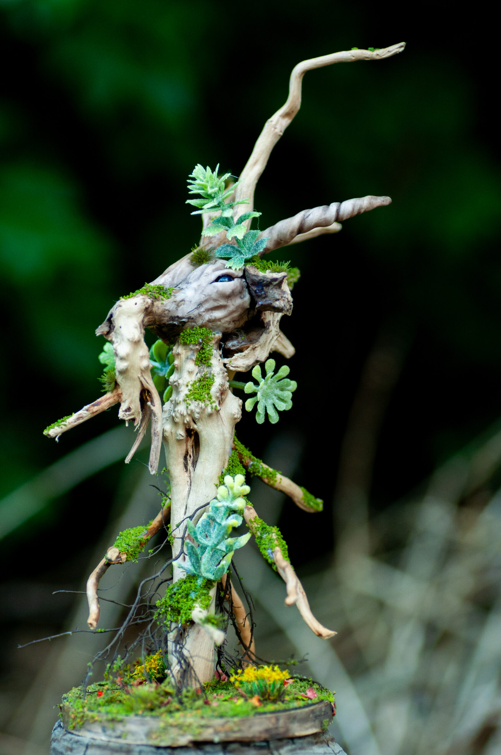 Keeper of the Rainwood - Image 8