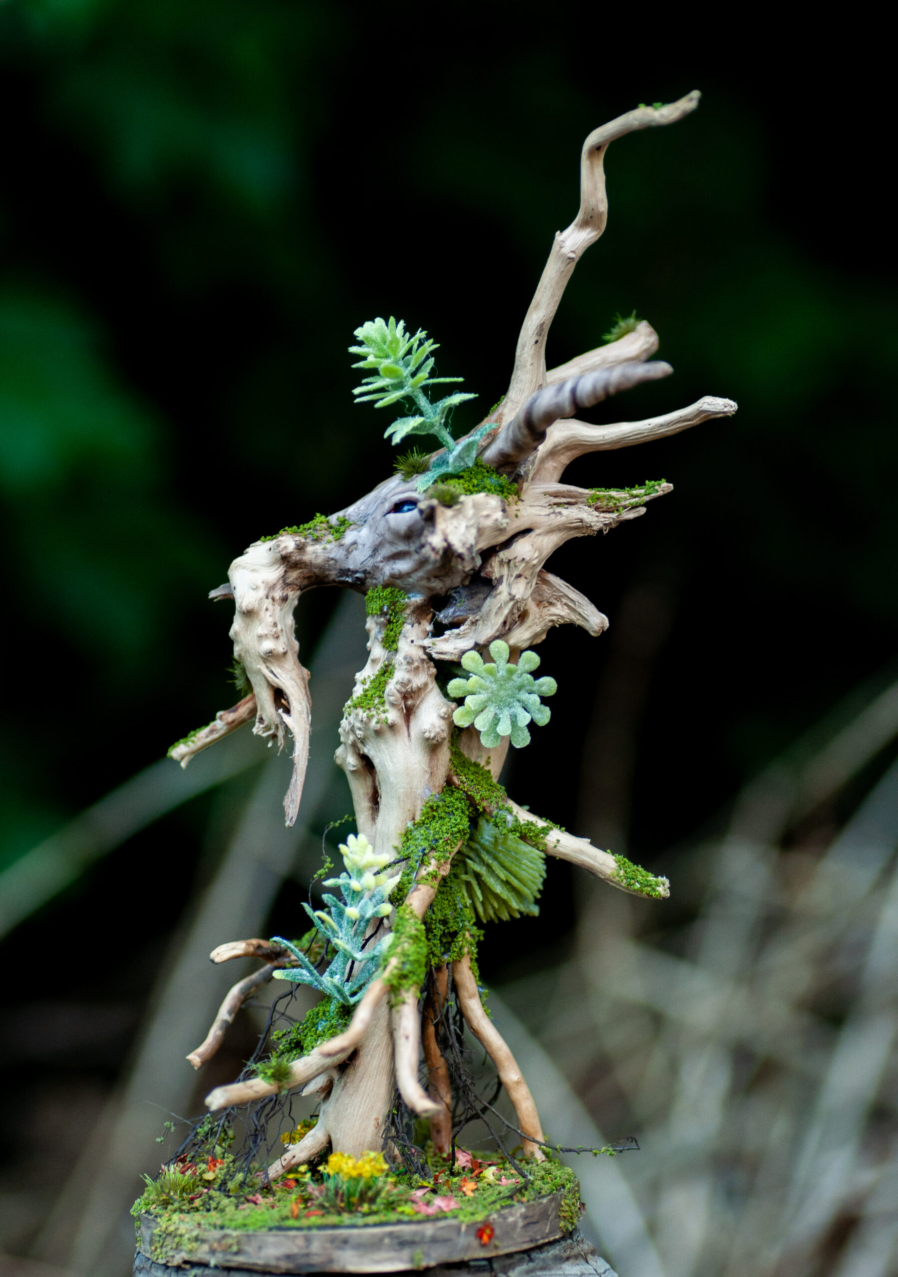 Keeper of the Rainwood - Image 9