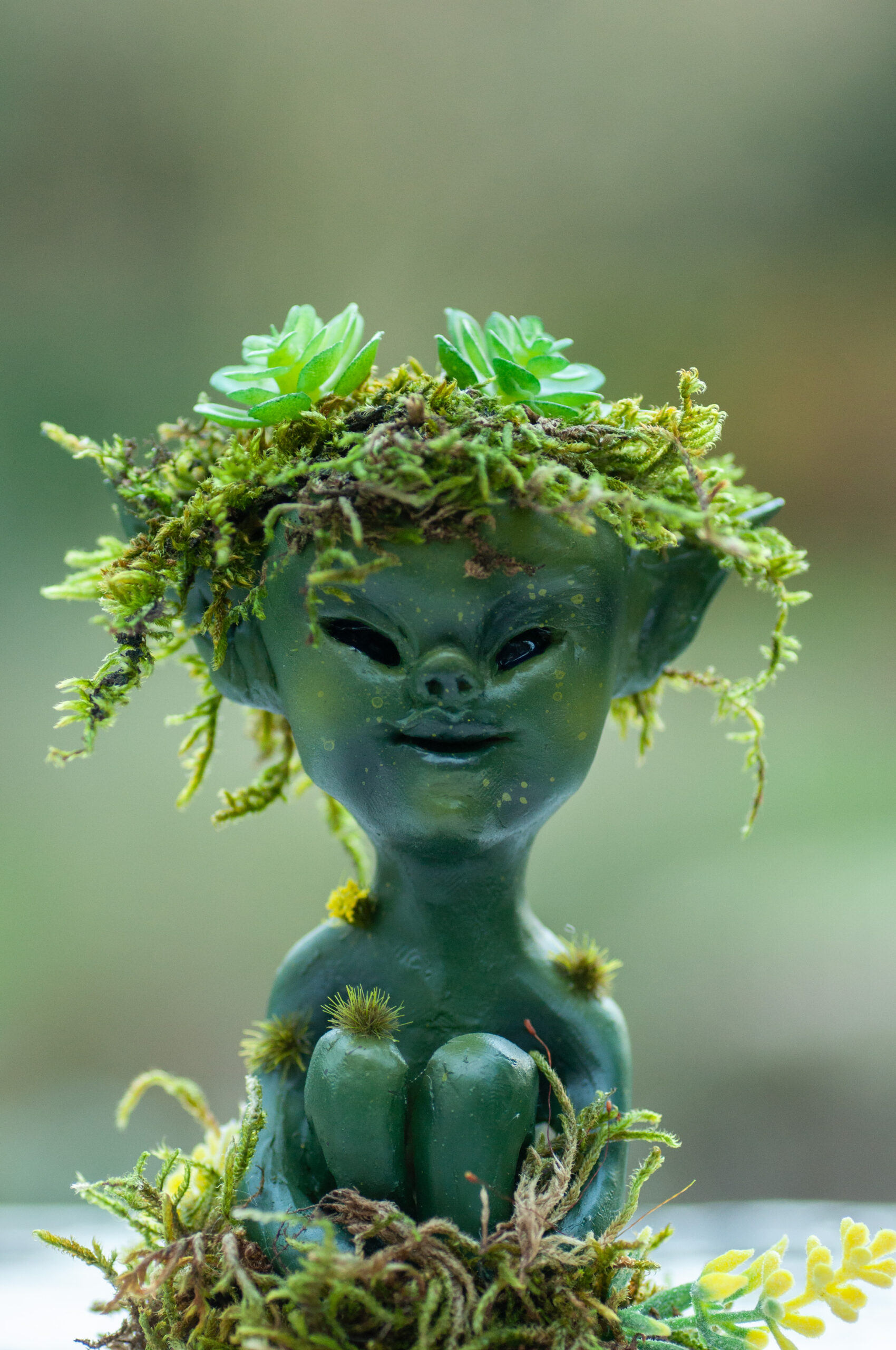Toffel - Image 11