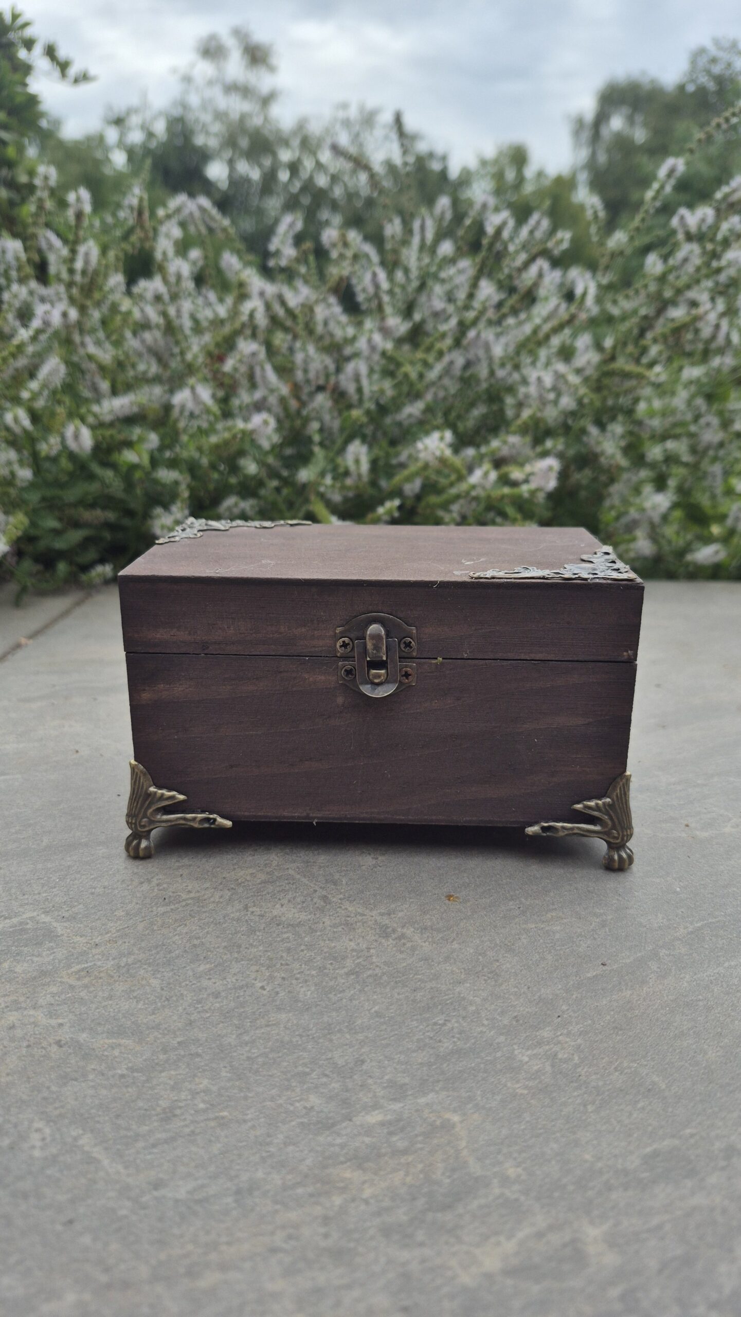 Hidden Forest Box - Image 12