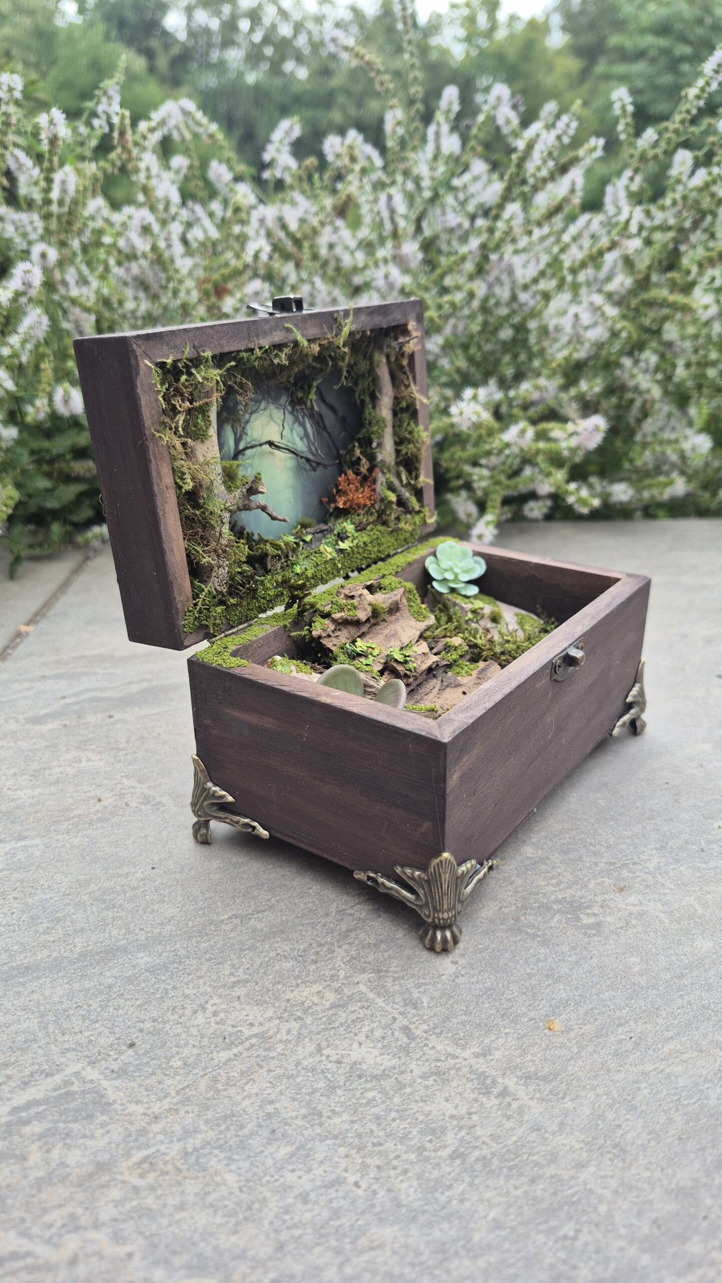 Hidden Forest Box - Image 4