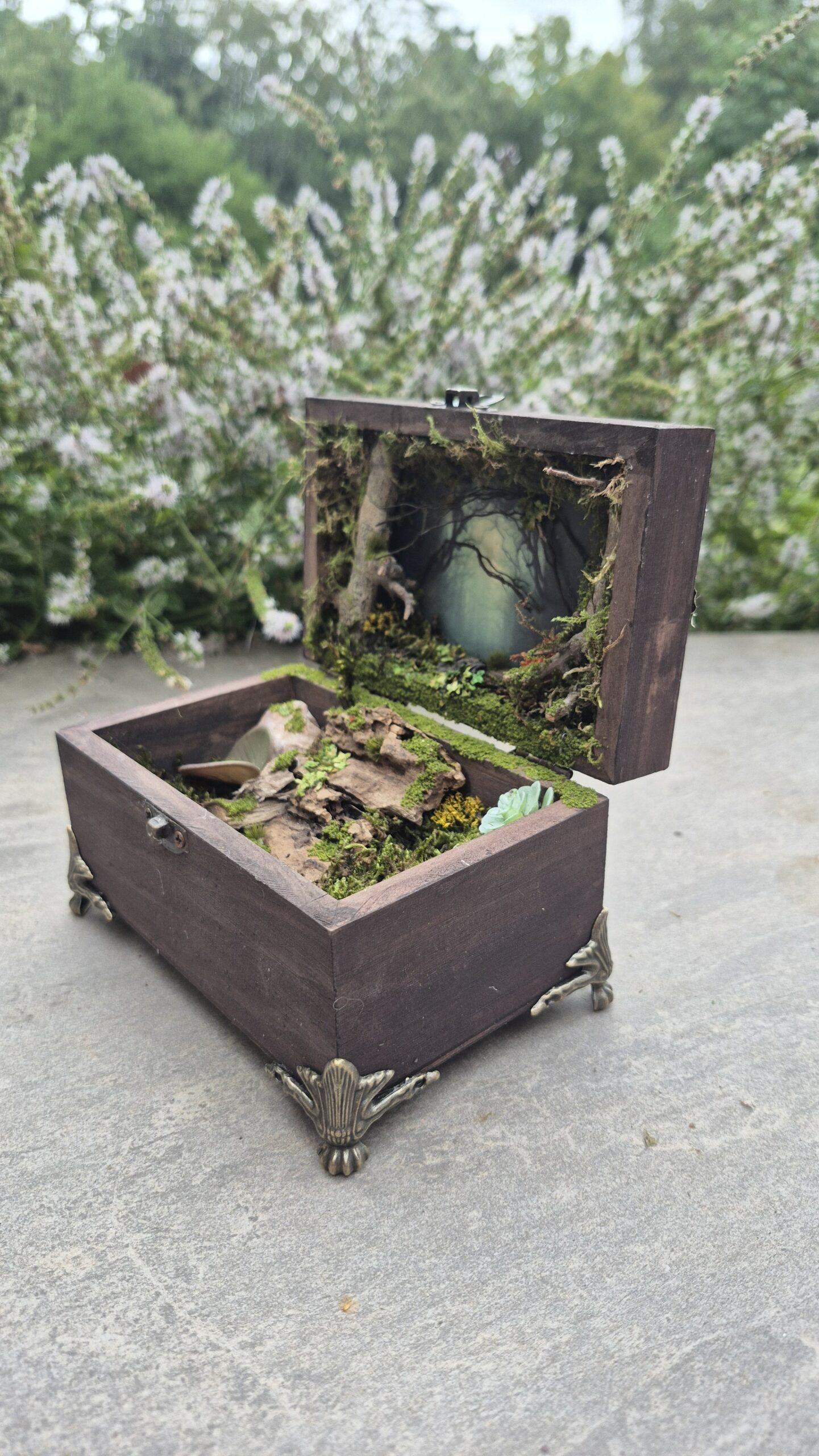 Hidden Forest Box - Image 3