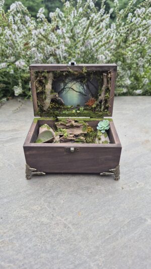 Hidden Forest Box