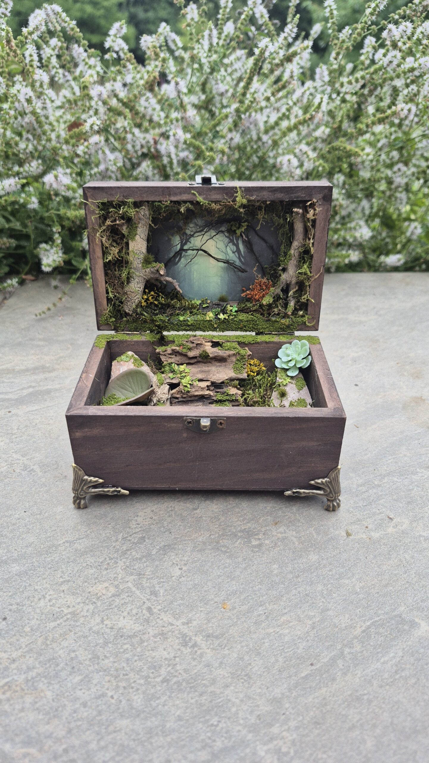 Hidden Forest Box