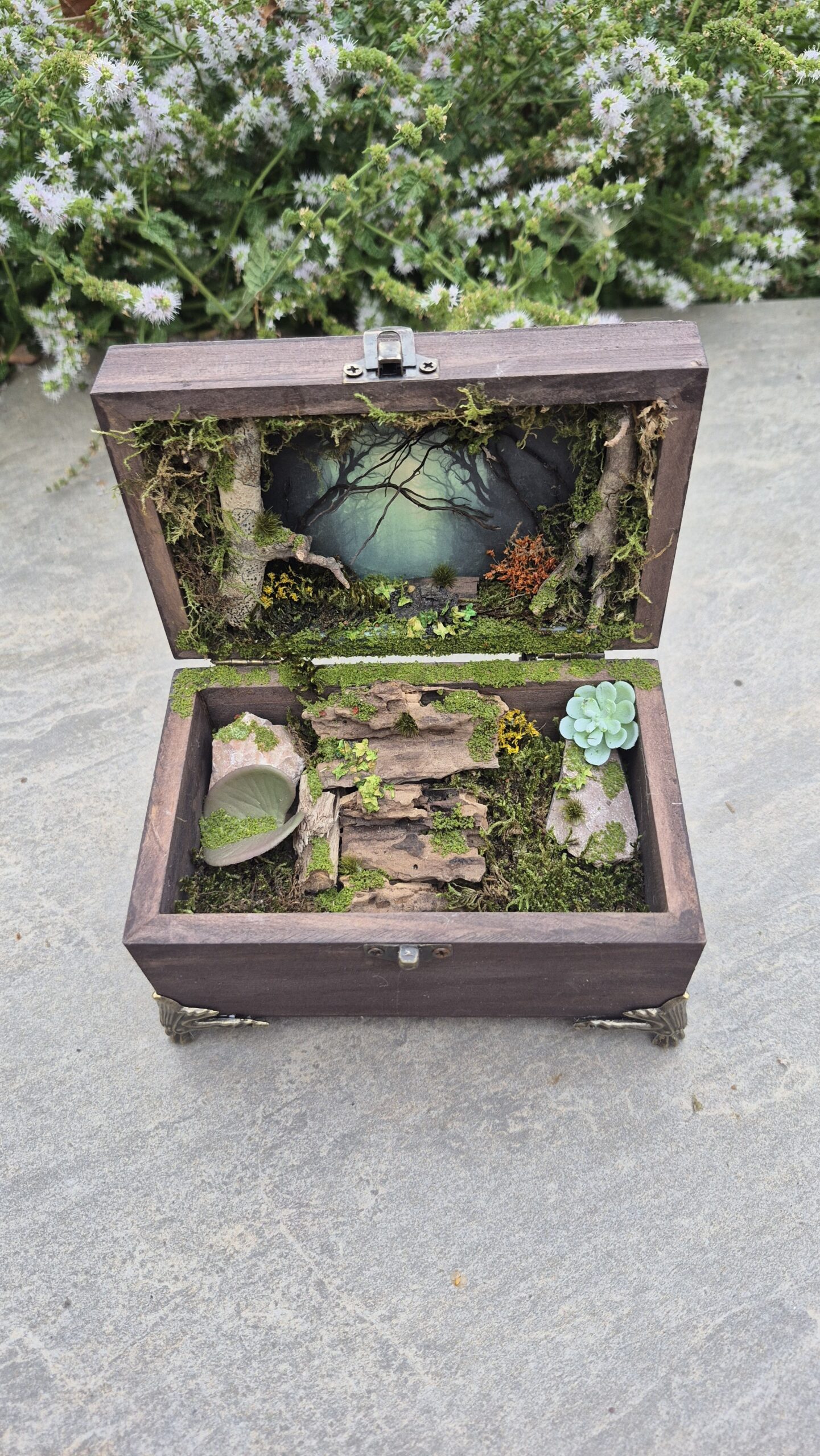 Hidden Forest Box - Image 2