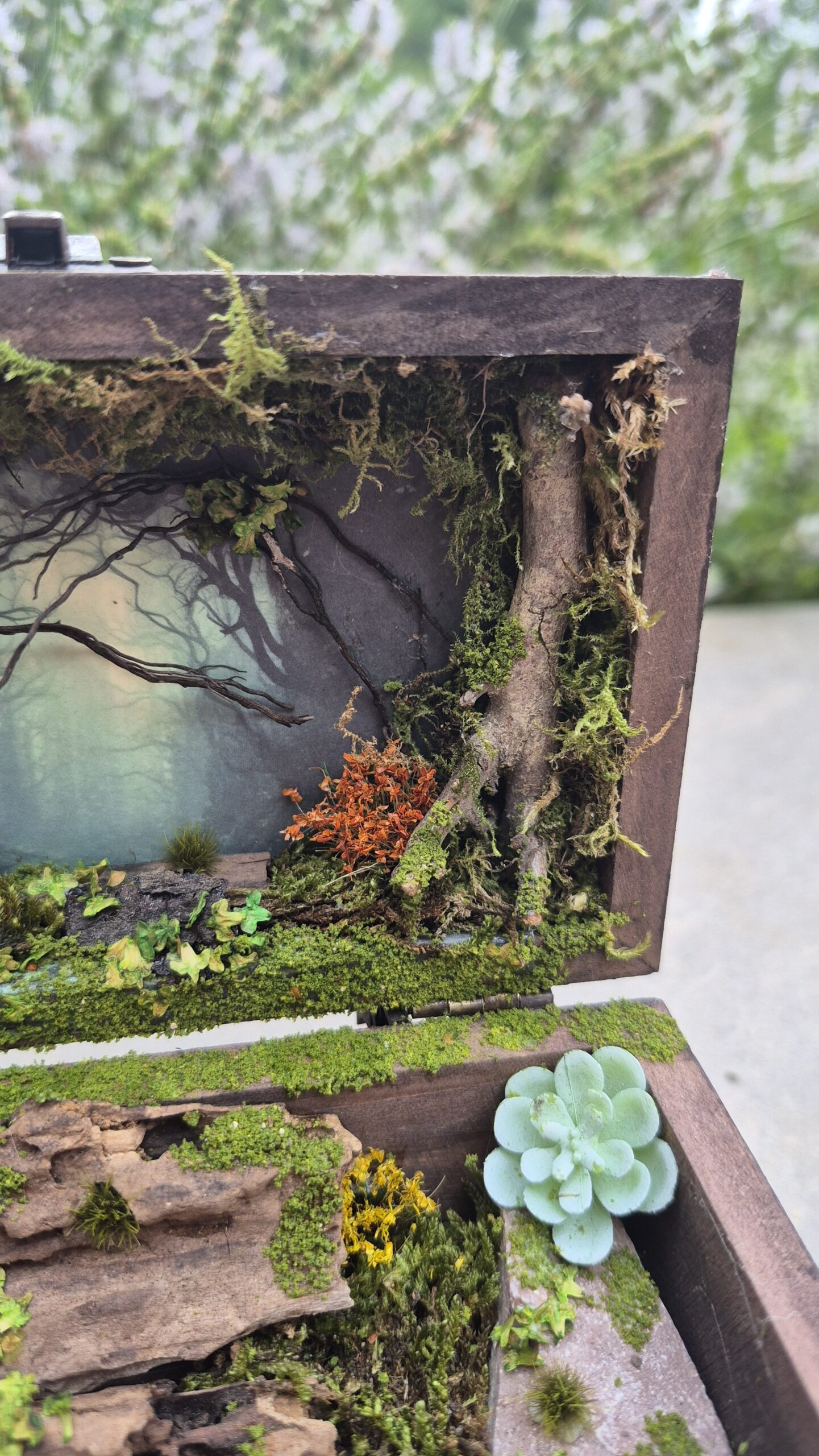 Hidden Forest Box - Image 7