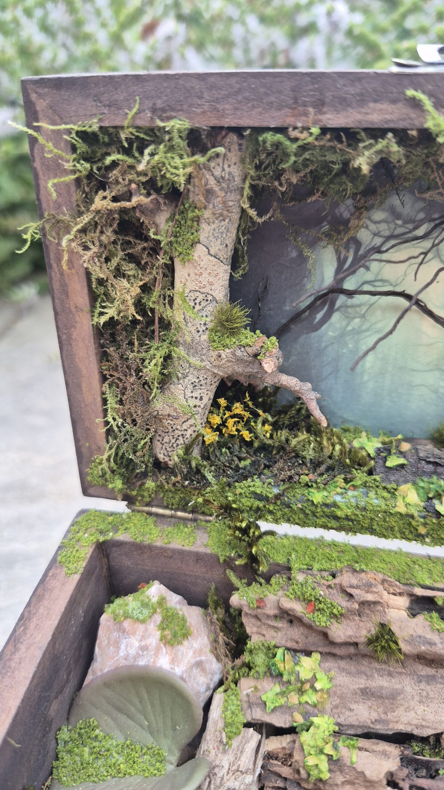 Hidden Forest Box - Image 5