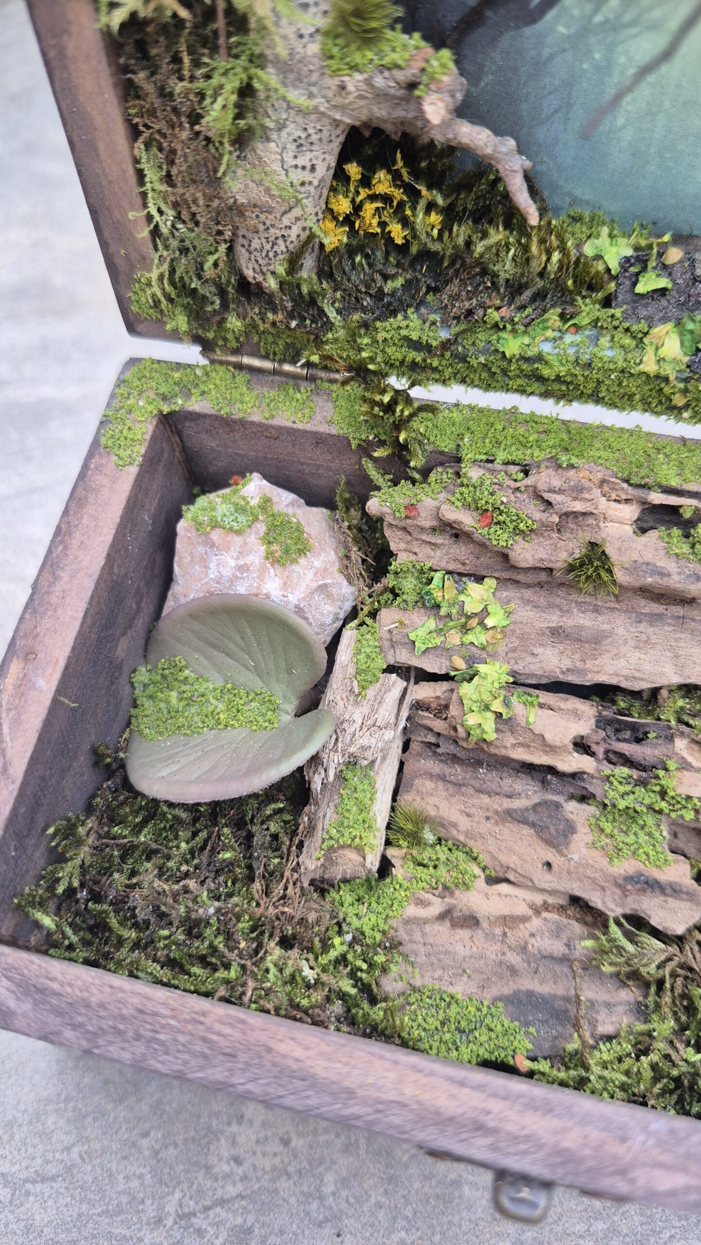 Hidden Forest Box - Image 8