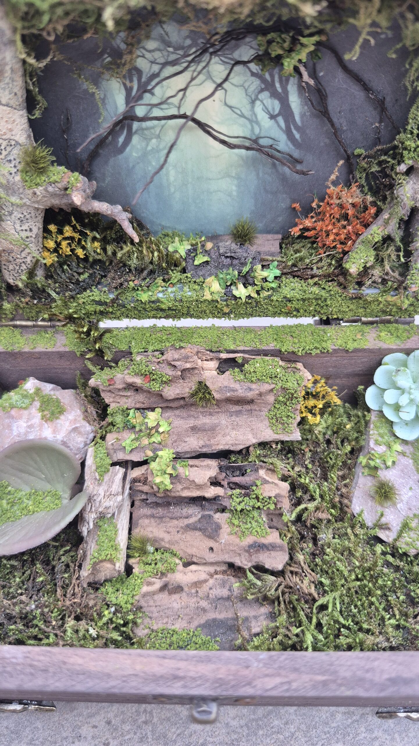 Hidden Forest Box - Image 9